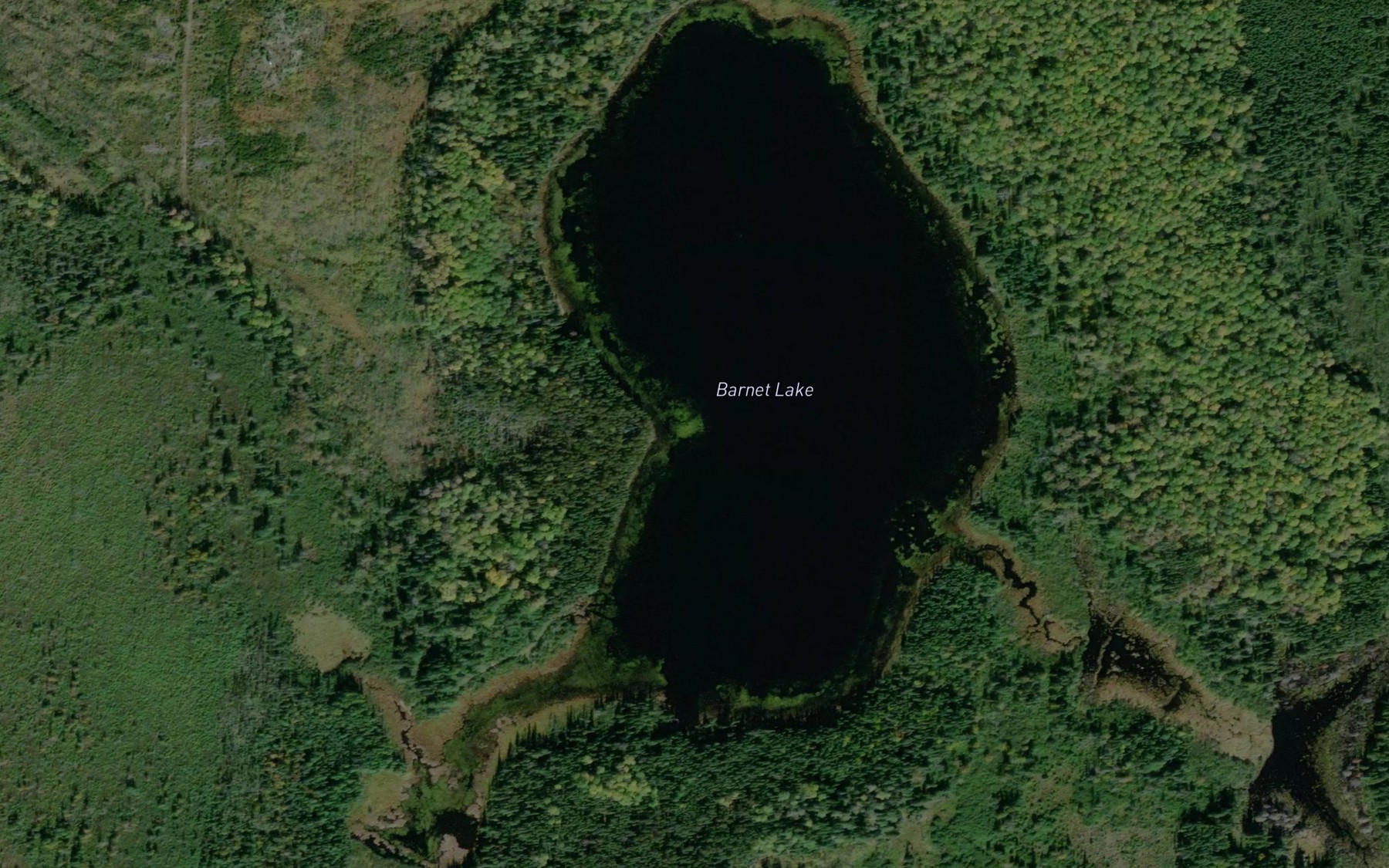 Satellite map of the Barnet Lake