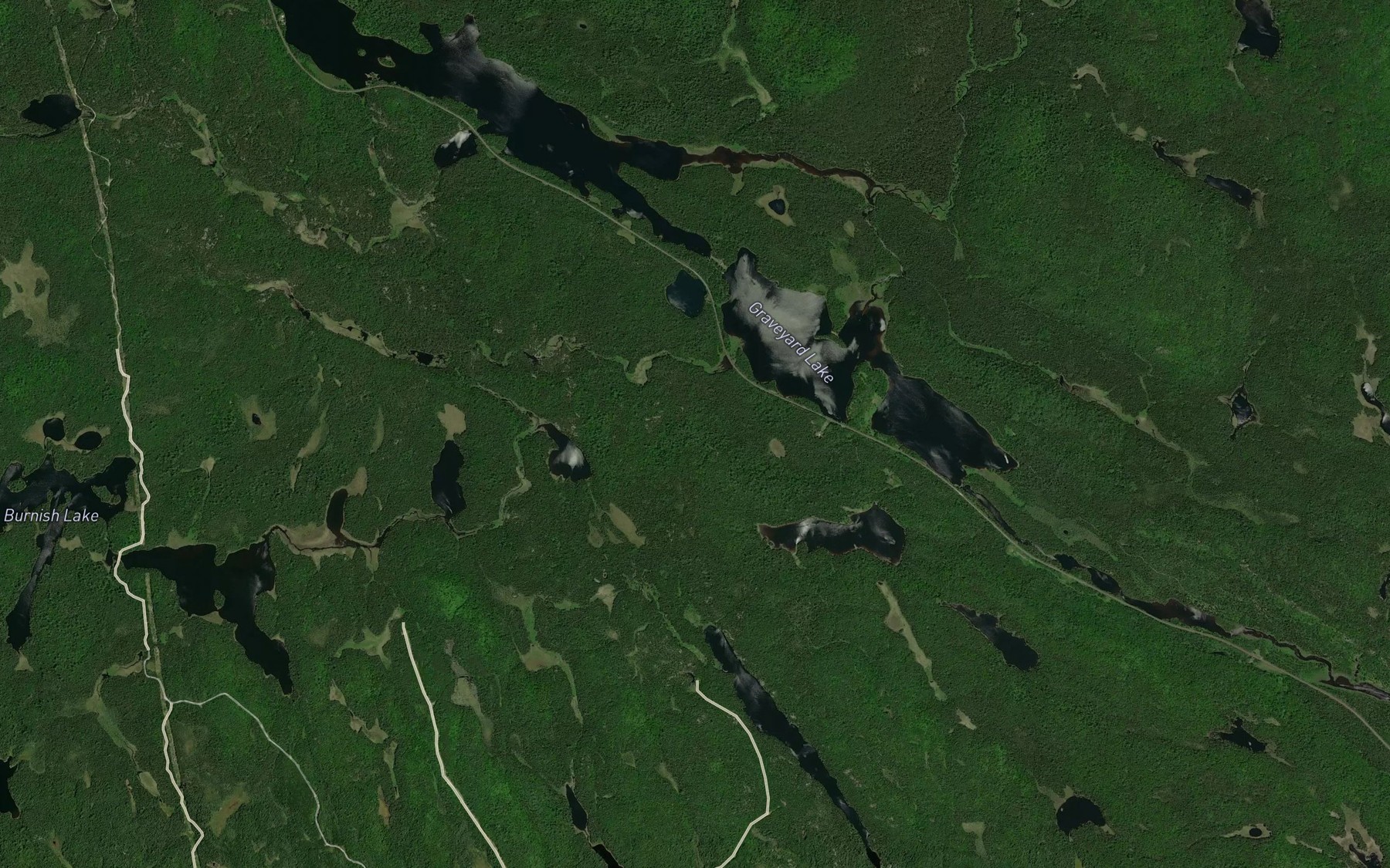 Satellite map of the Burnish Creek