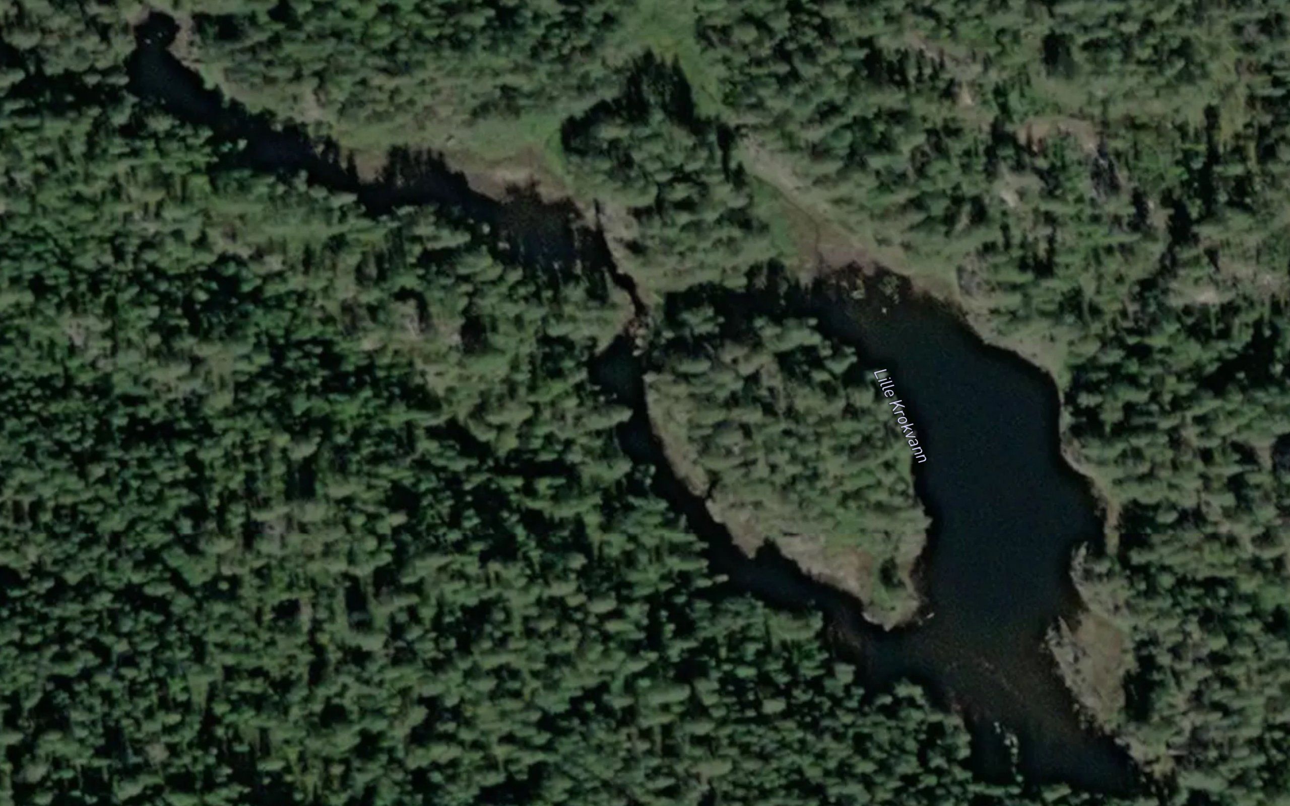 Lille Krokvann