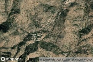 Bunk Robinson Spring