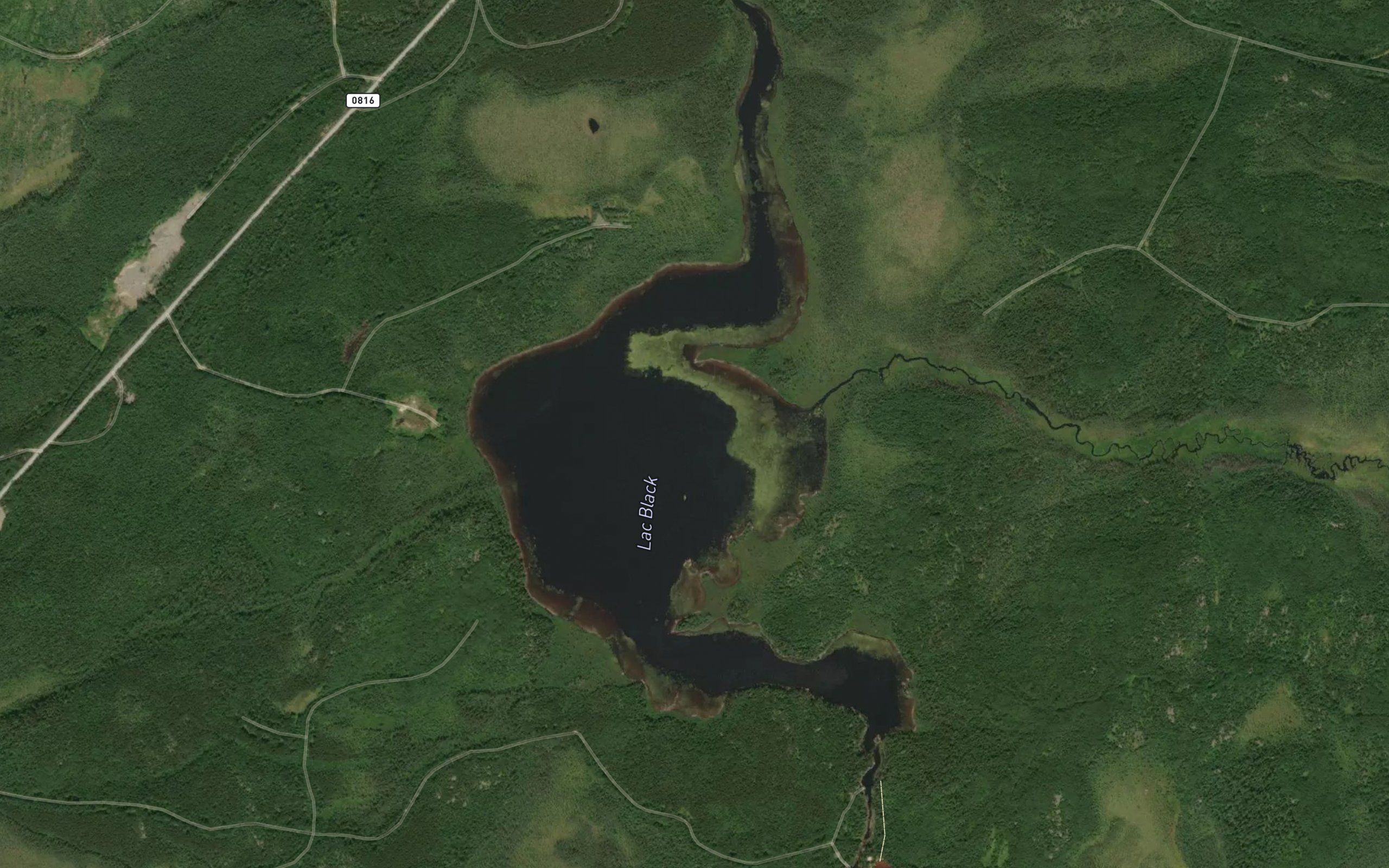 Lac Black