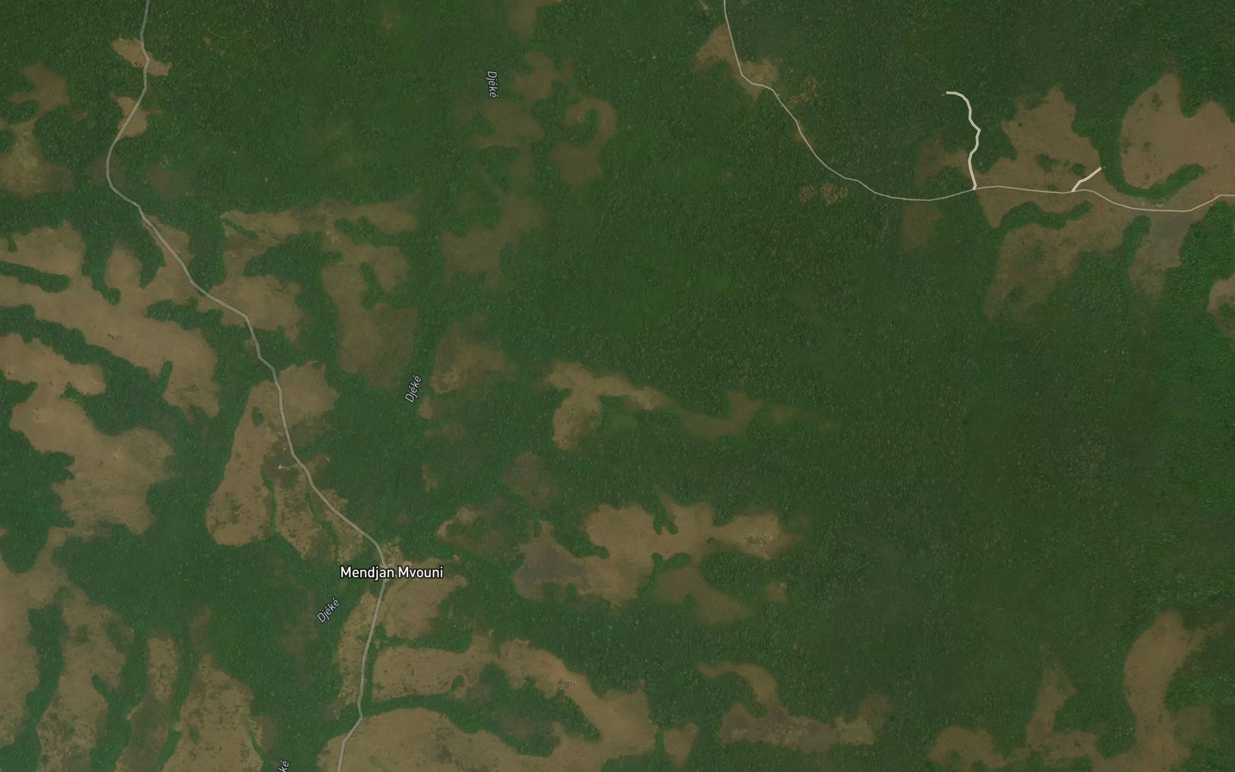 Satellite map of the Gasson