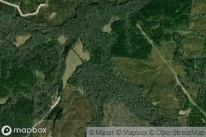 Folsoms Creek