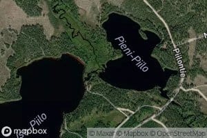 Palkinjoki