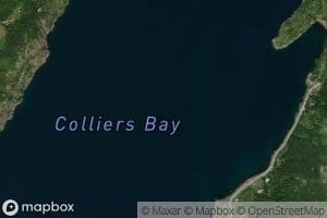 Colliers Bay