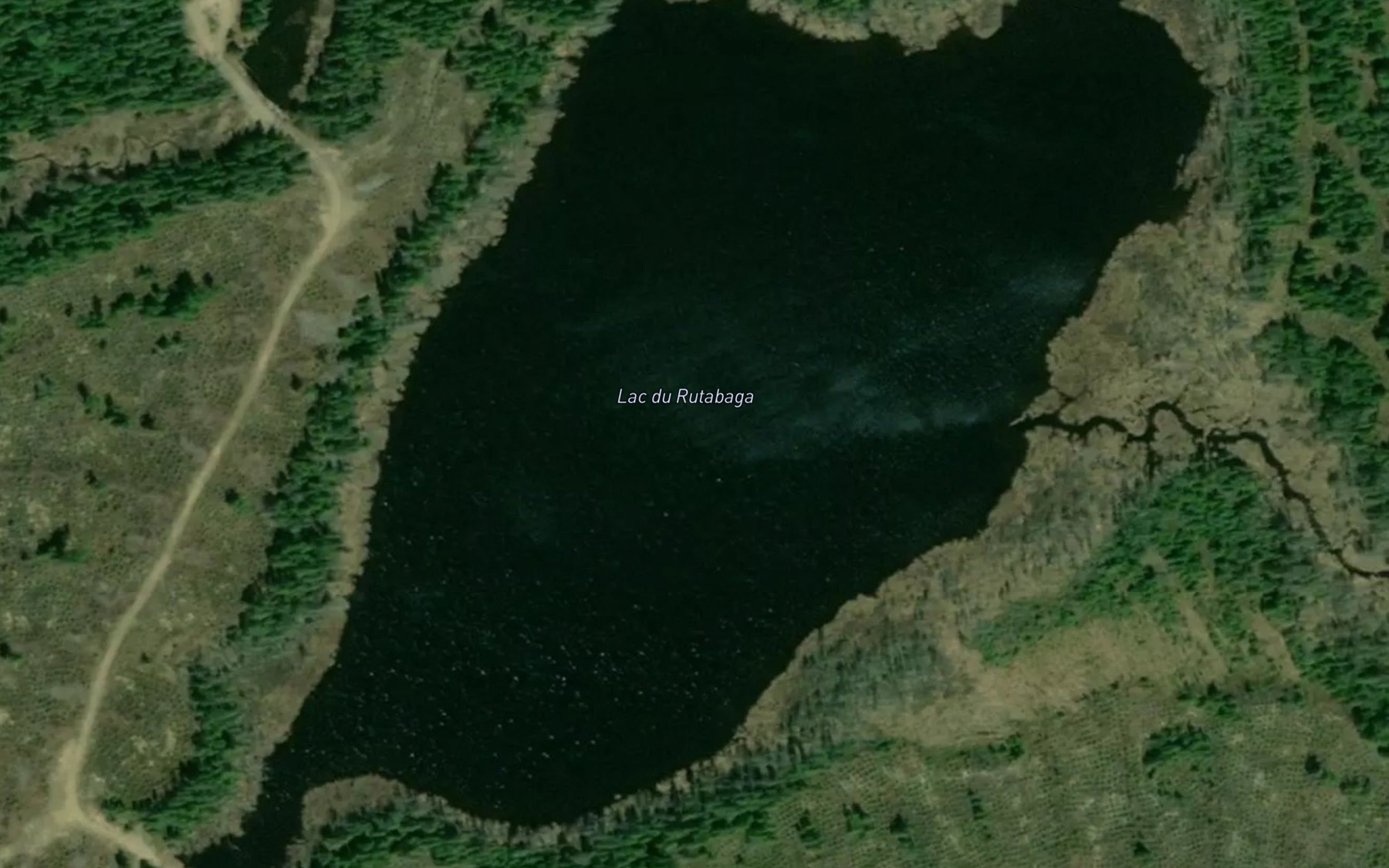 Satellite map of the Lac du Rutabaga