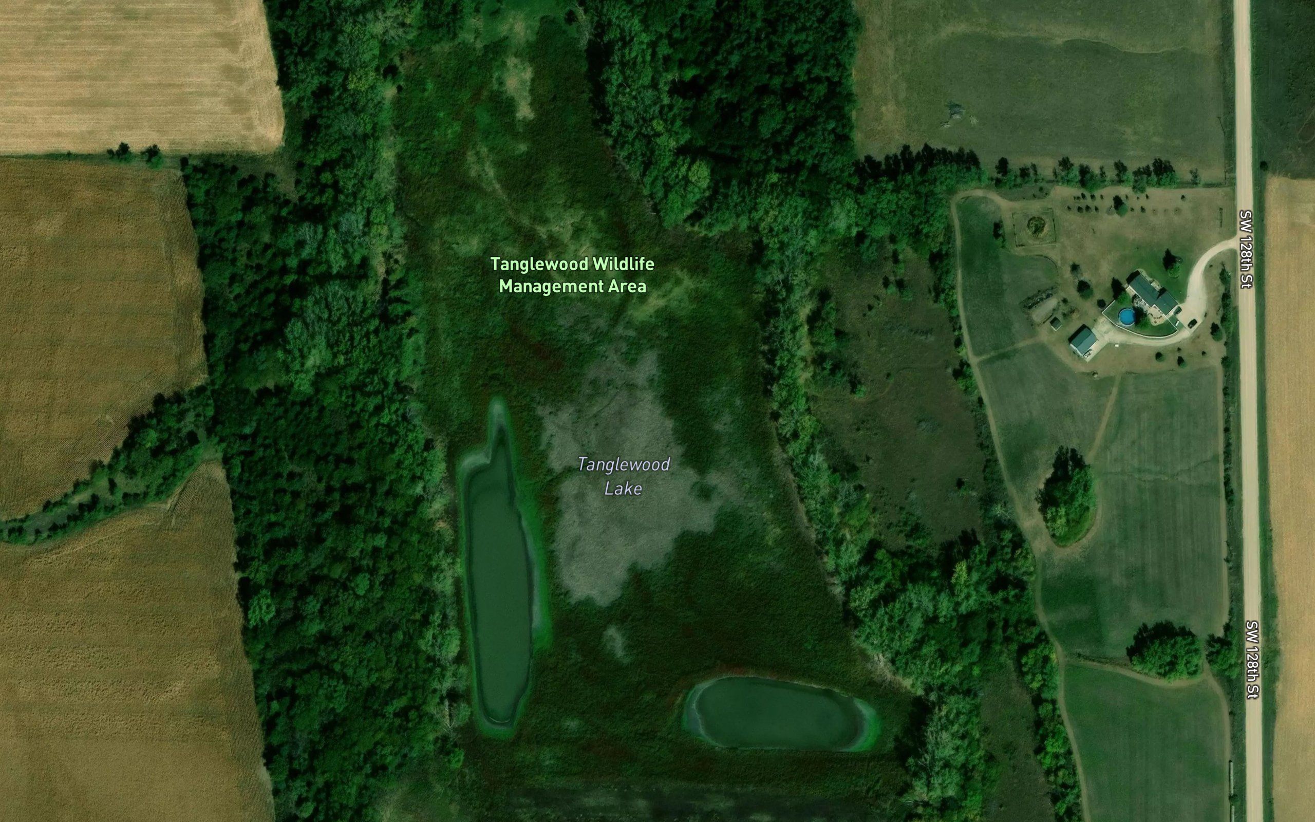 Tanglewood Lake