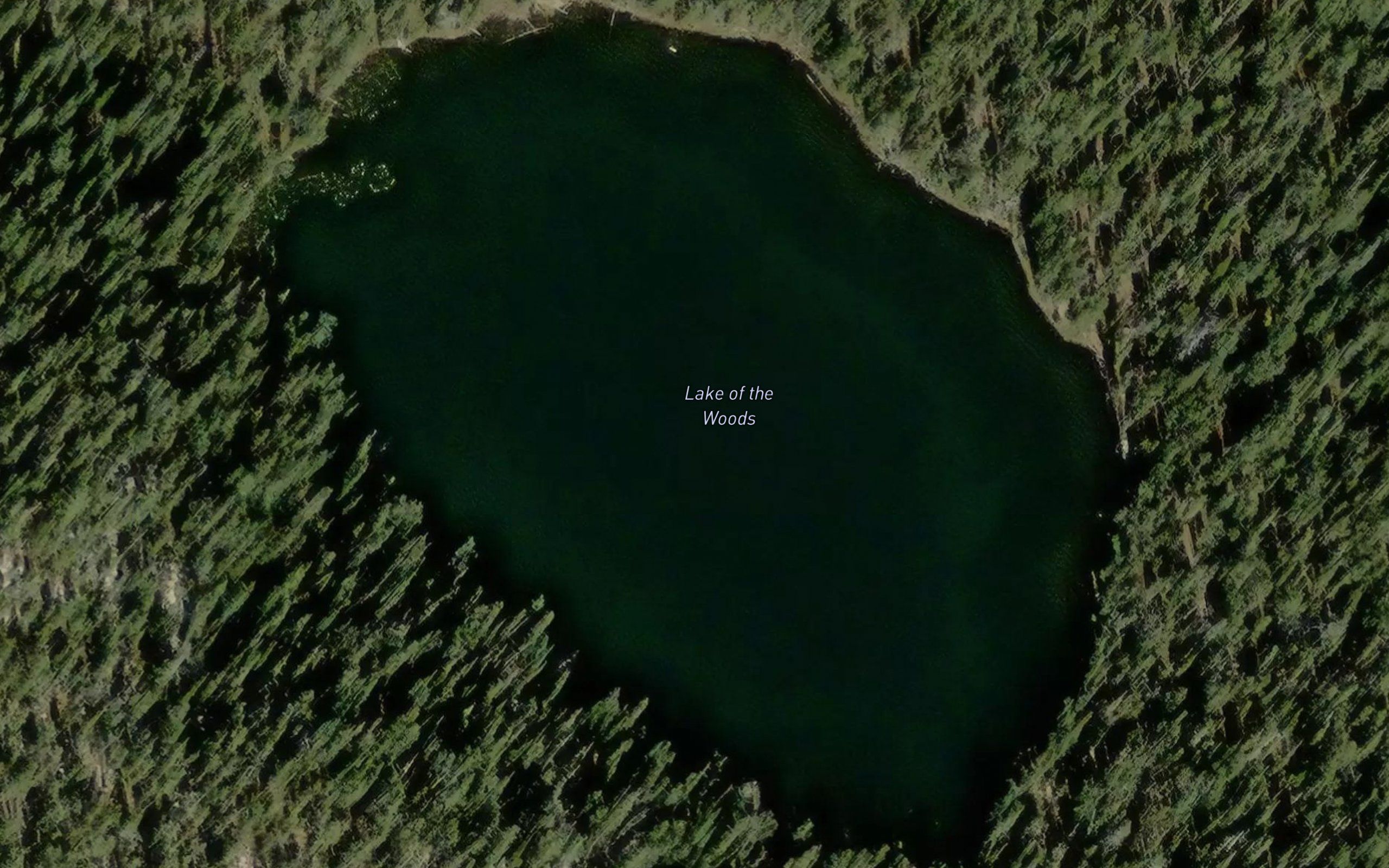 Lake of the Woods