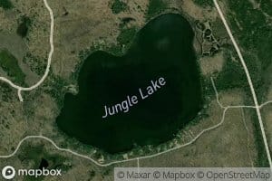 Jungle Lake