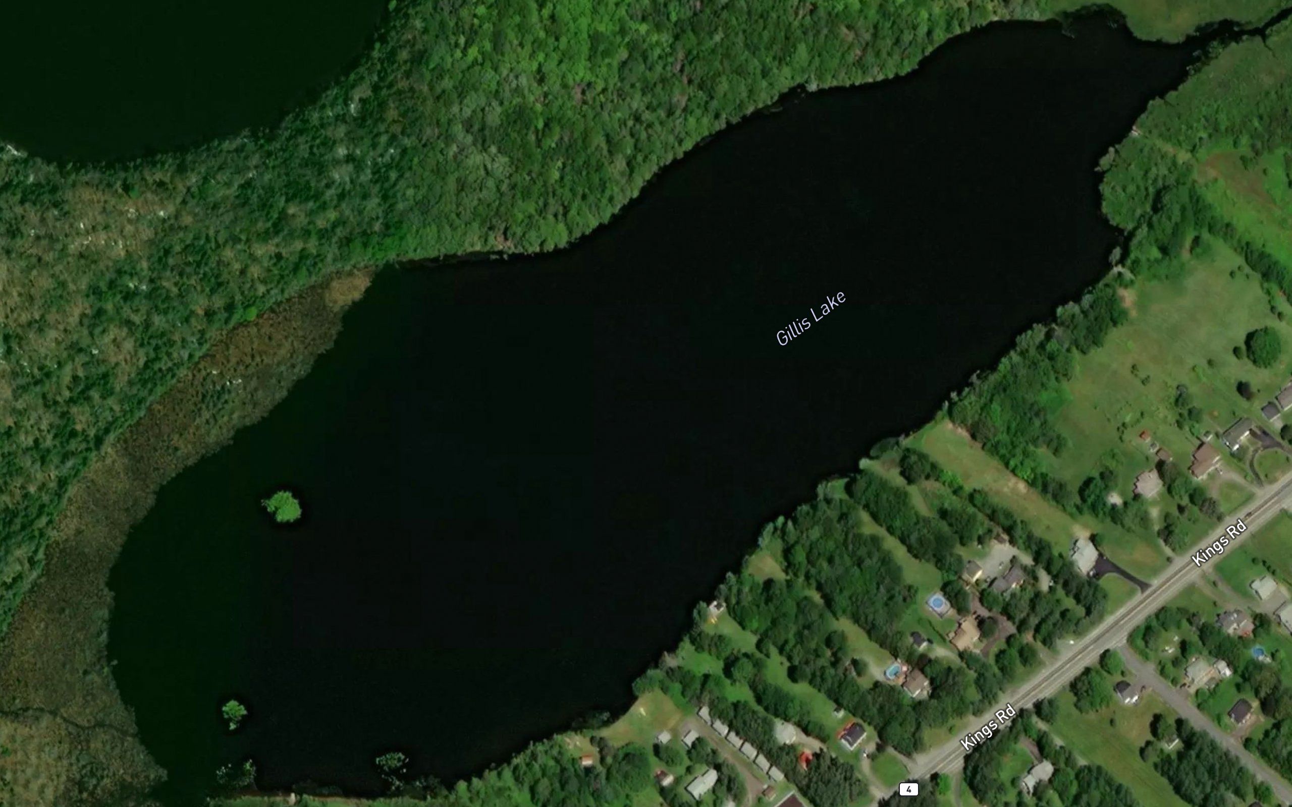 Gillis Lake