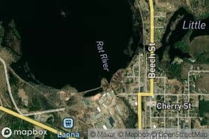 Scattered Rice Lake 38