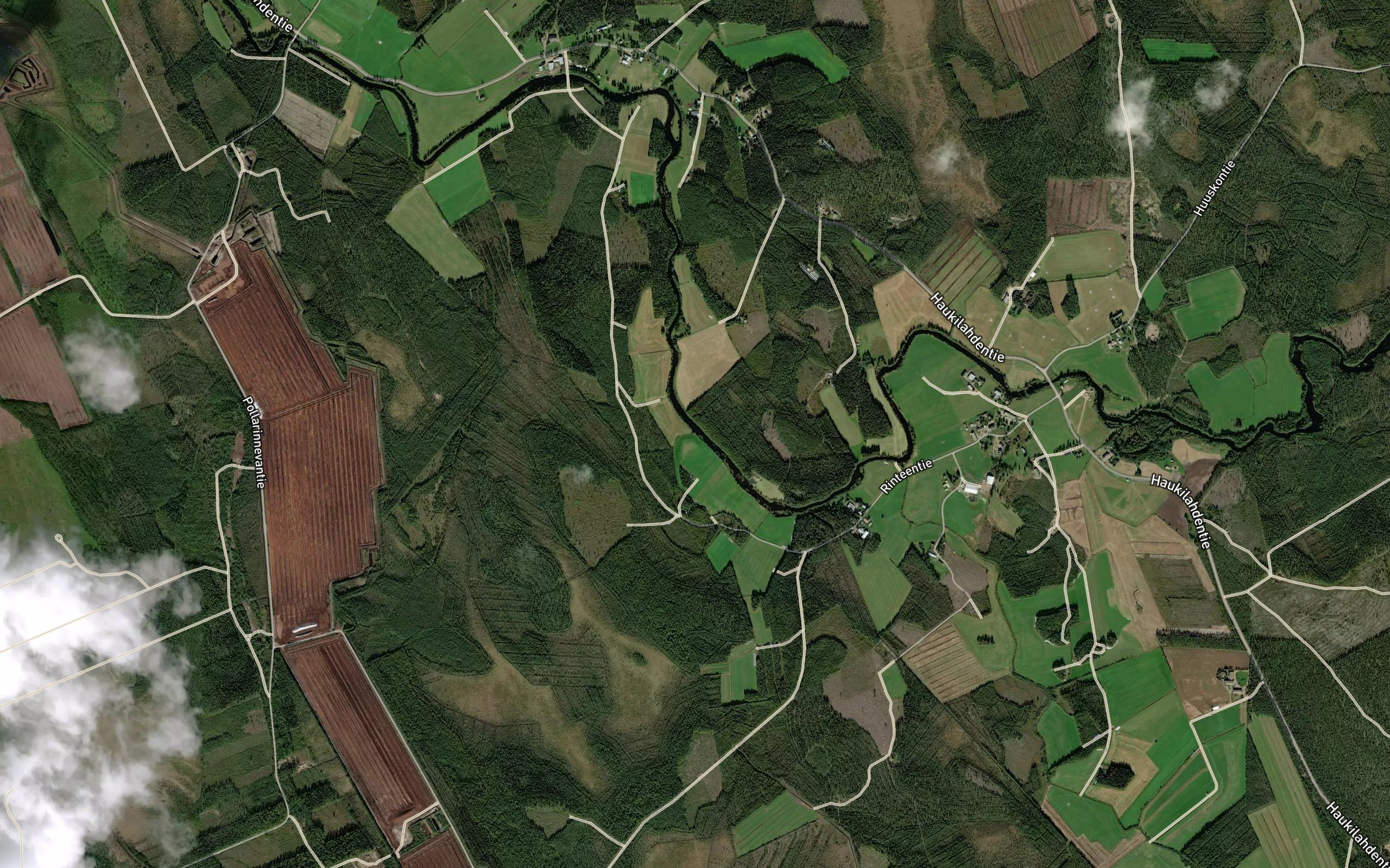 Sammaloja