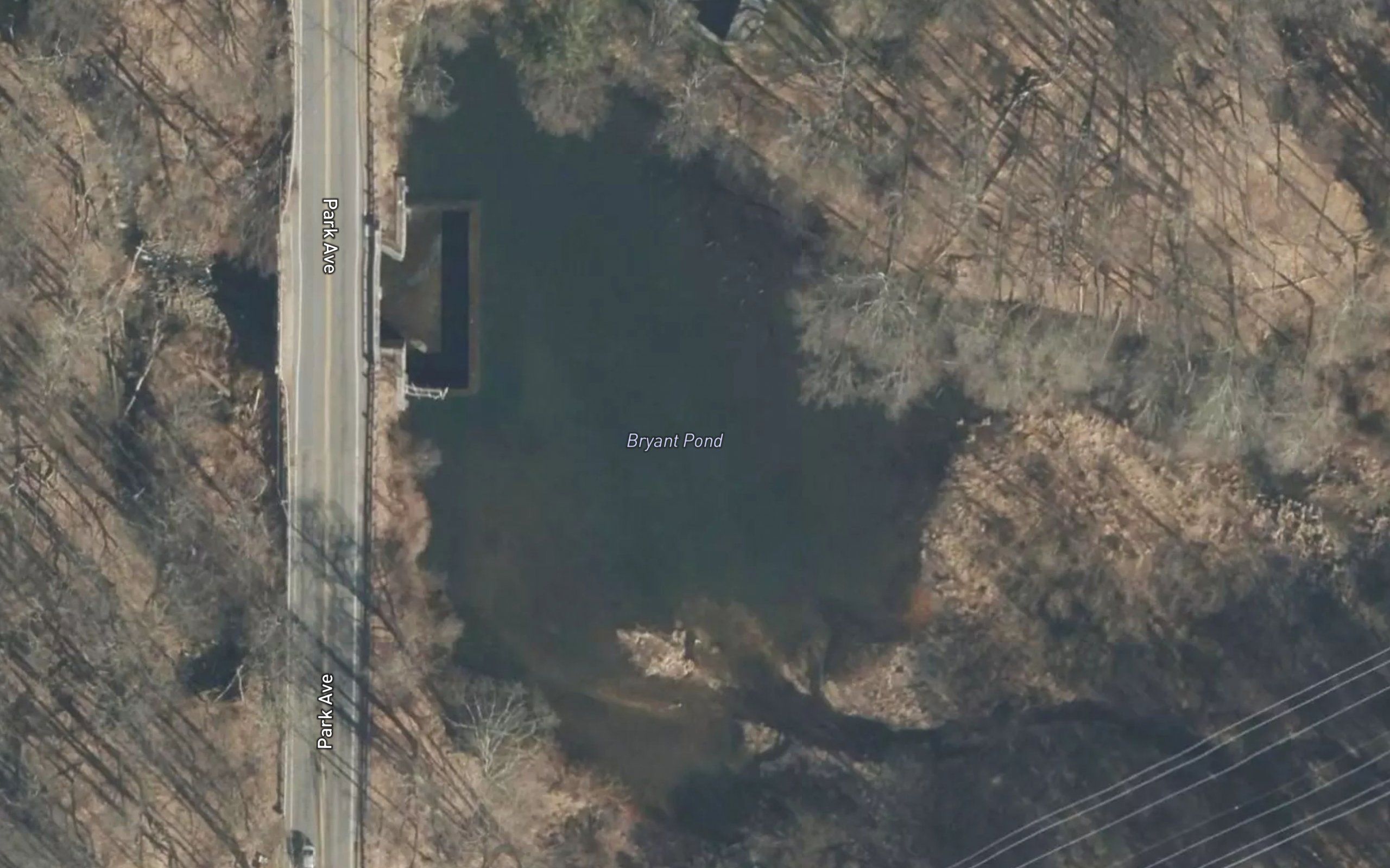 Bryant Pond