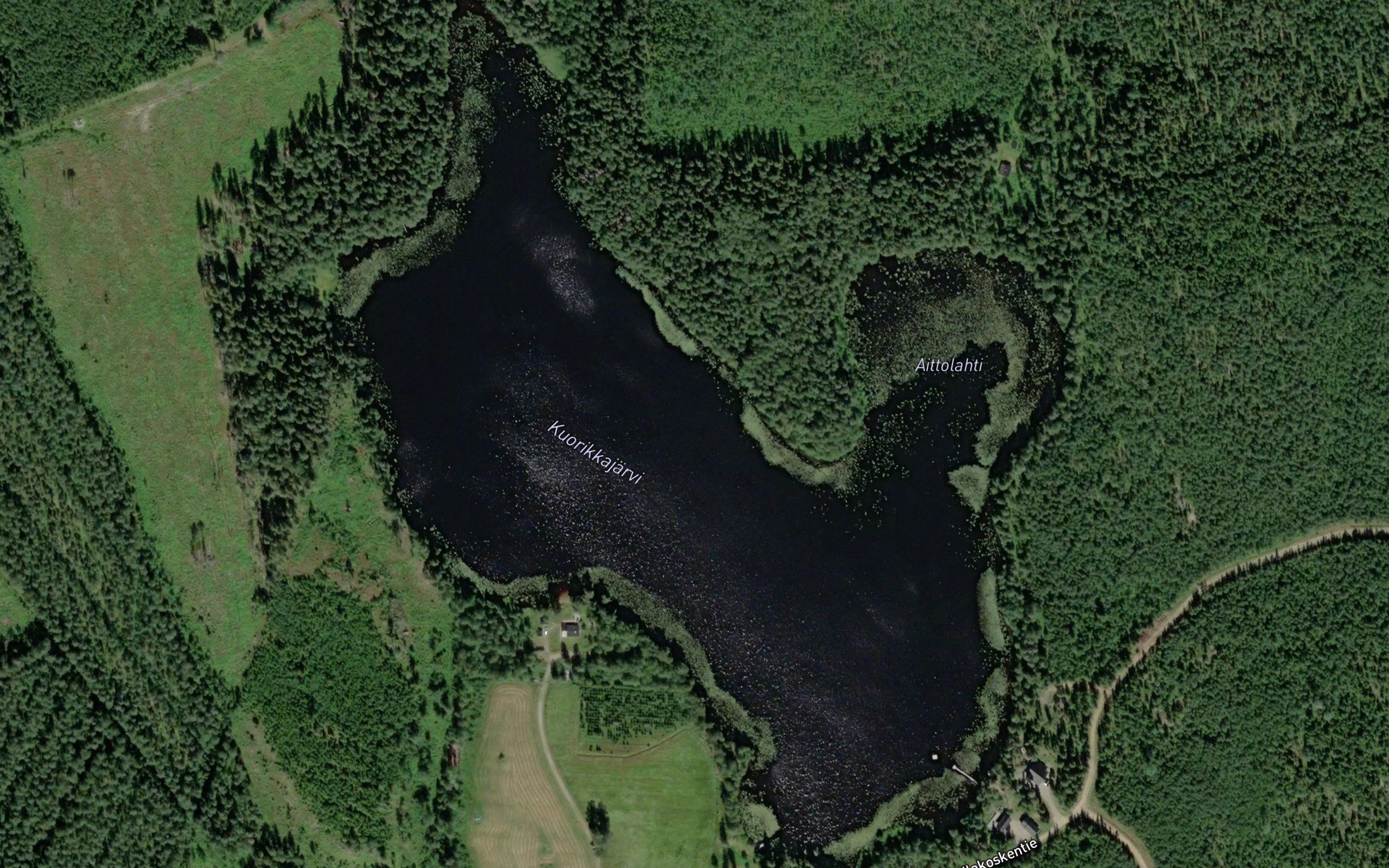 Kuorikkajarvi