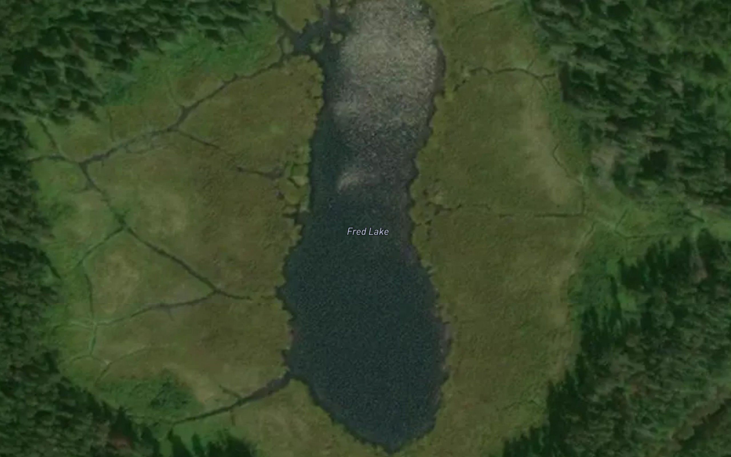 Fred Lake