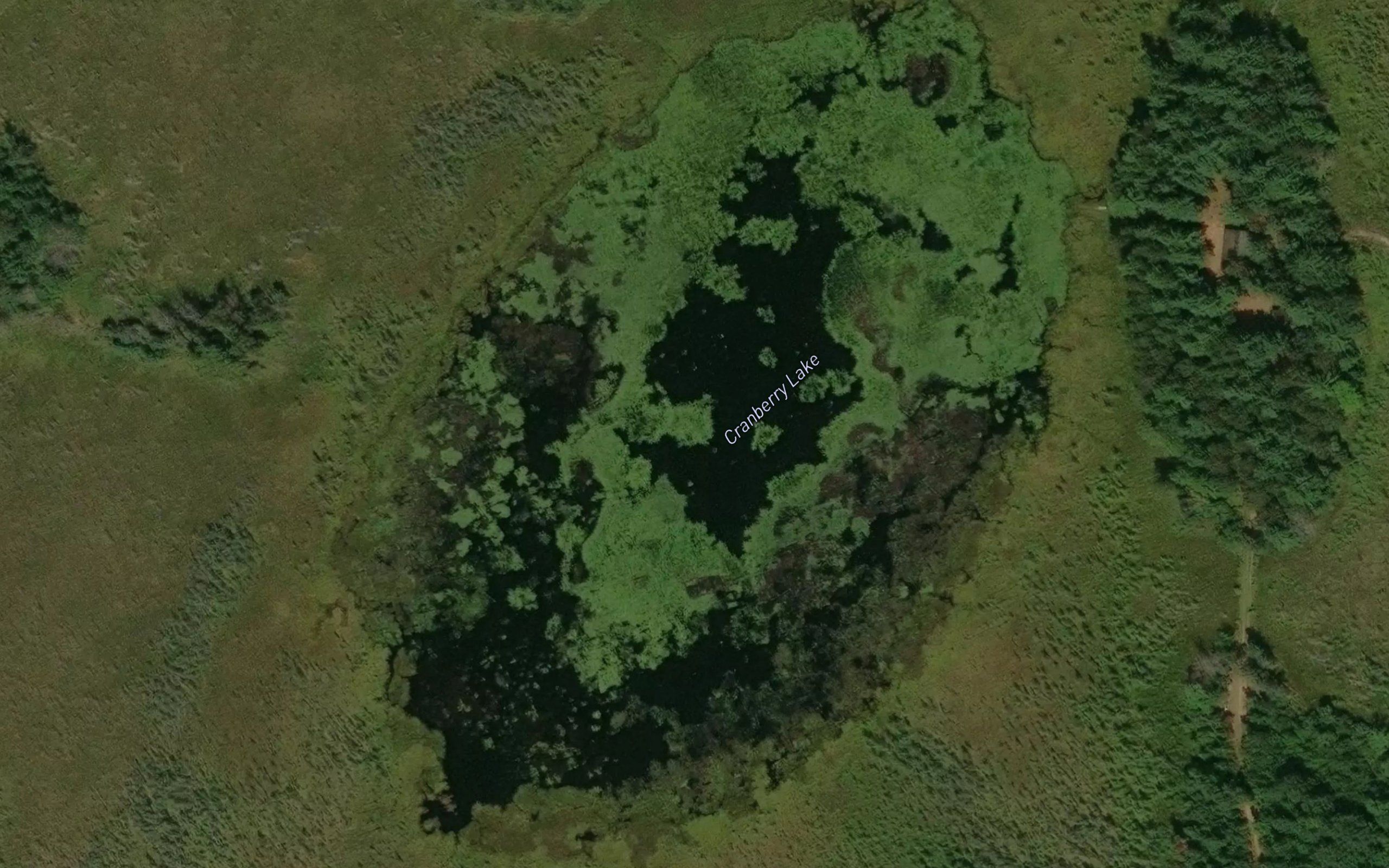 Cranberry Lake