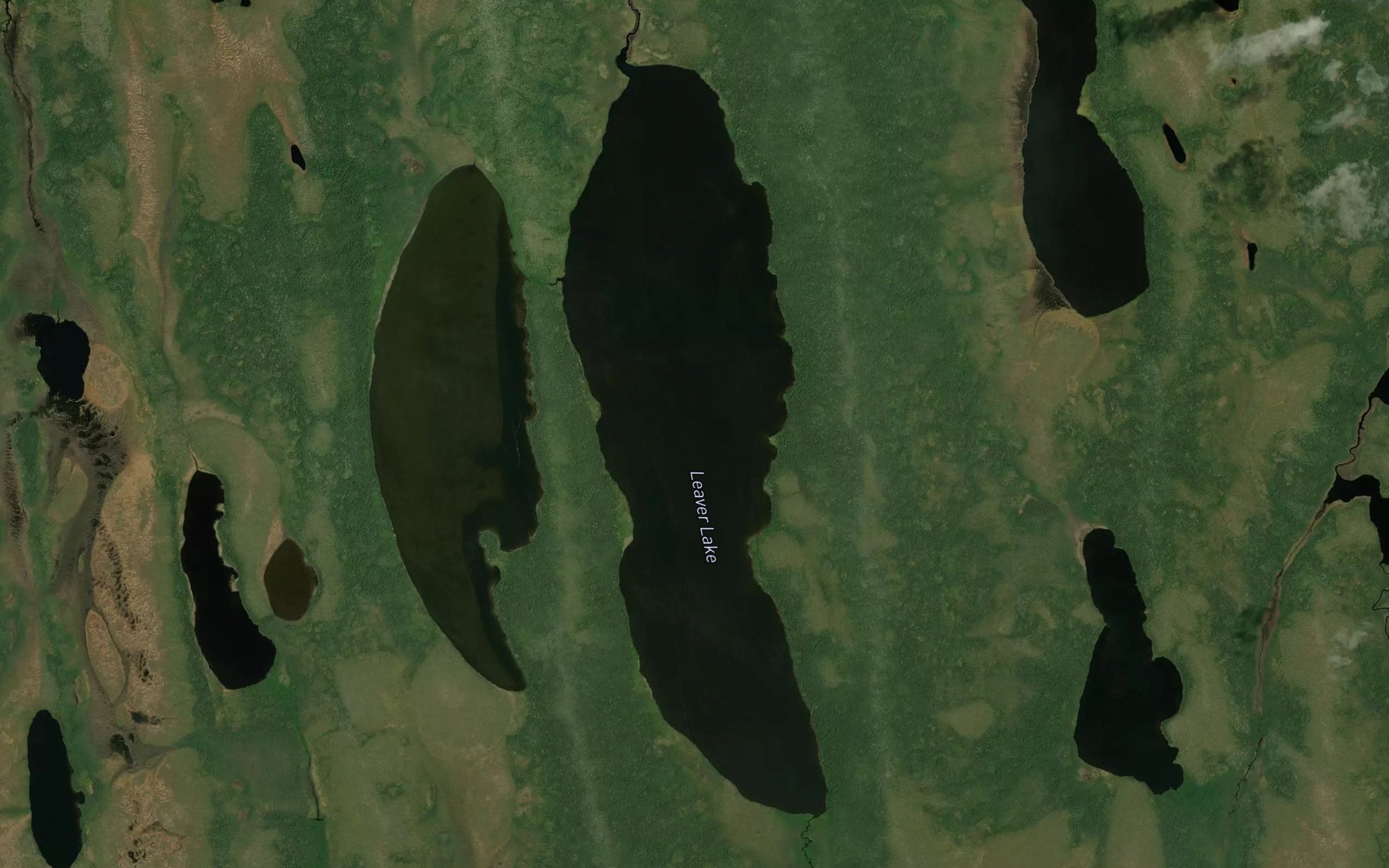 Satellite map of the Leaver Lake
