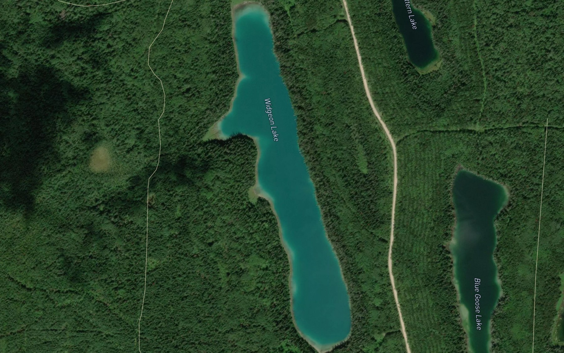 Satellite map of the Widgeon Lake