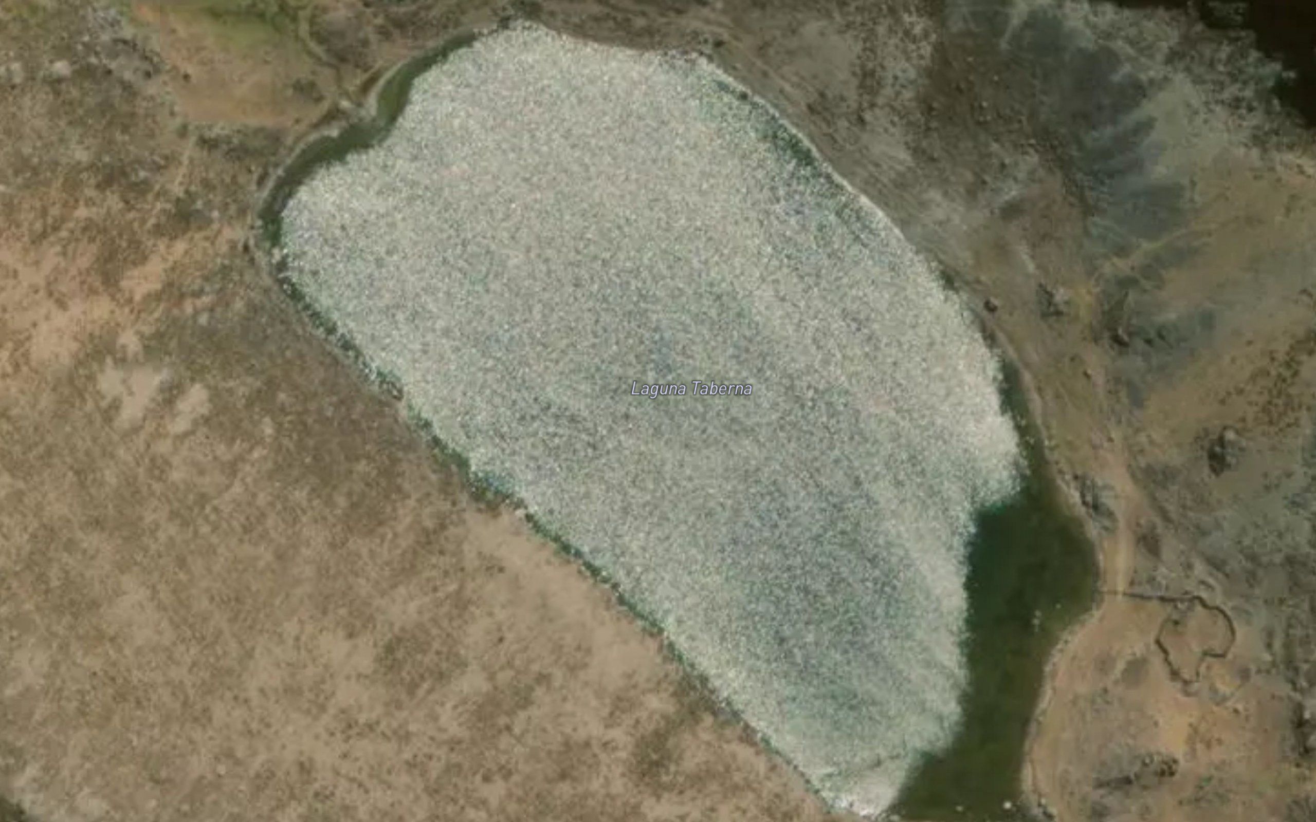 Laguna Taberna