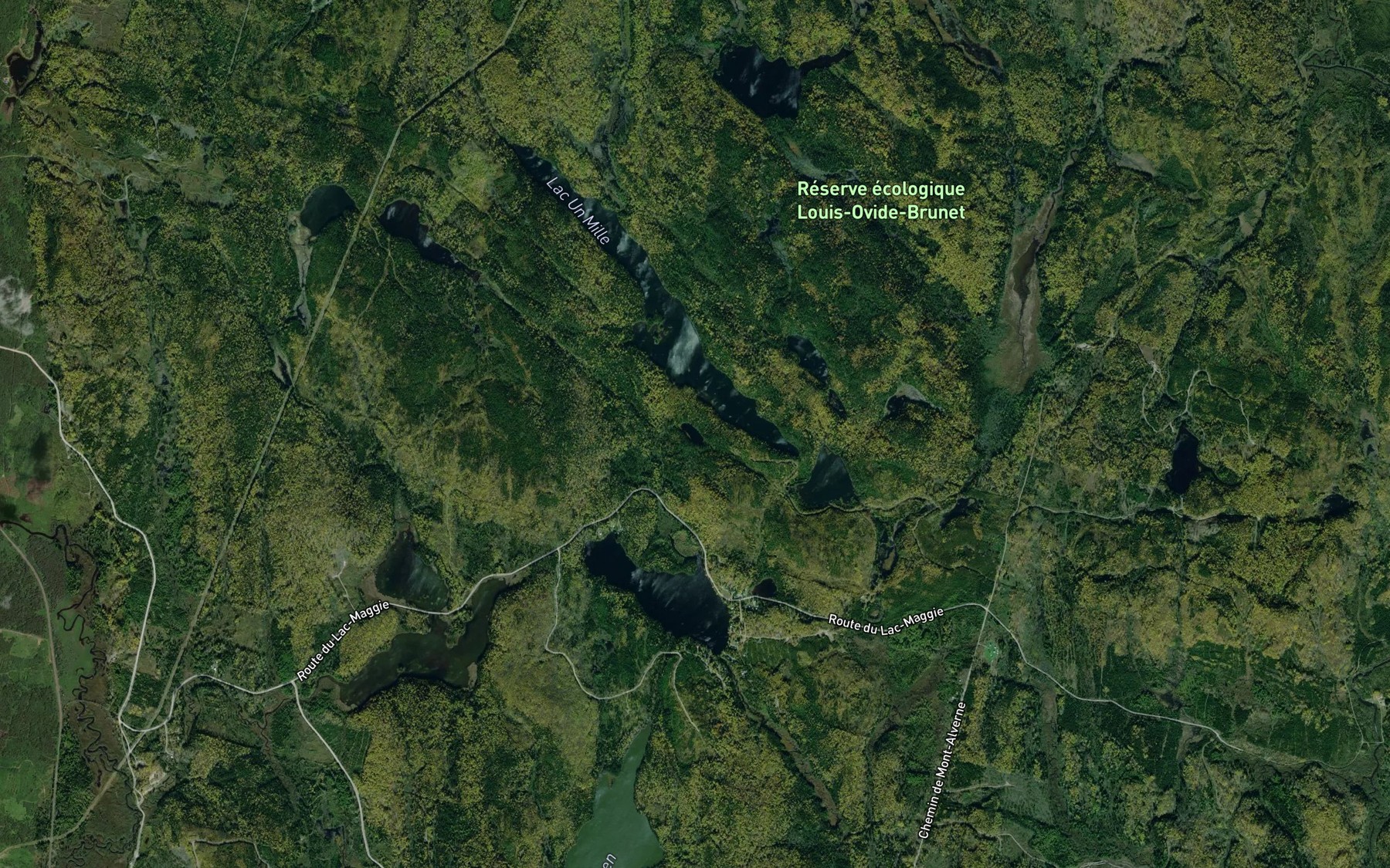 Satellite map of the Petit lac Perdu