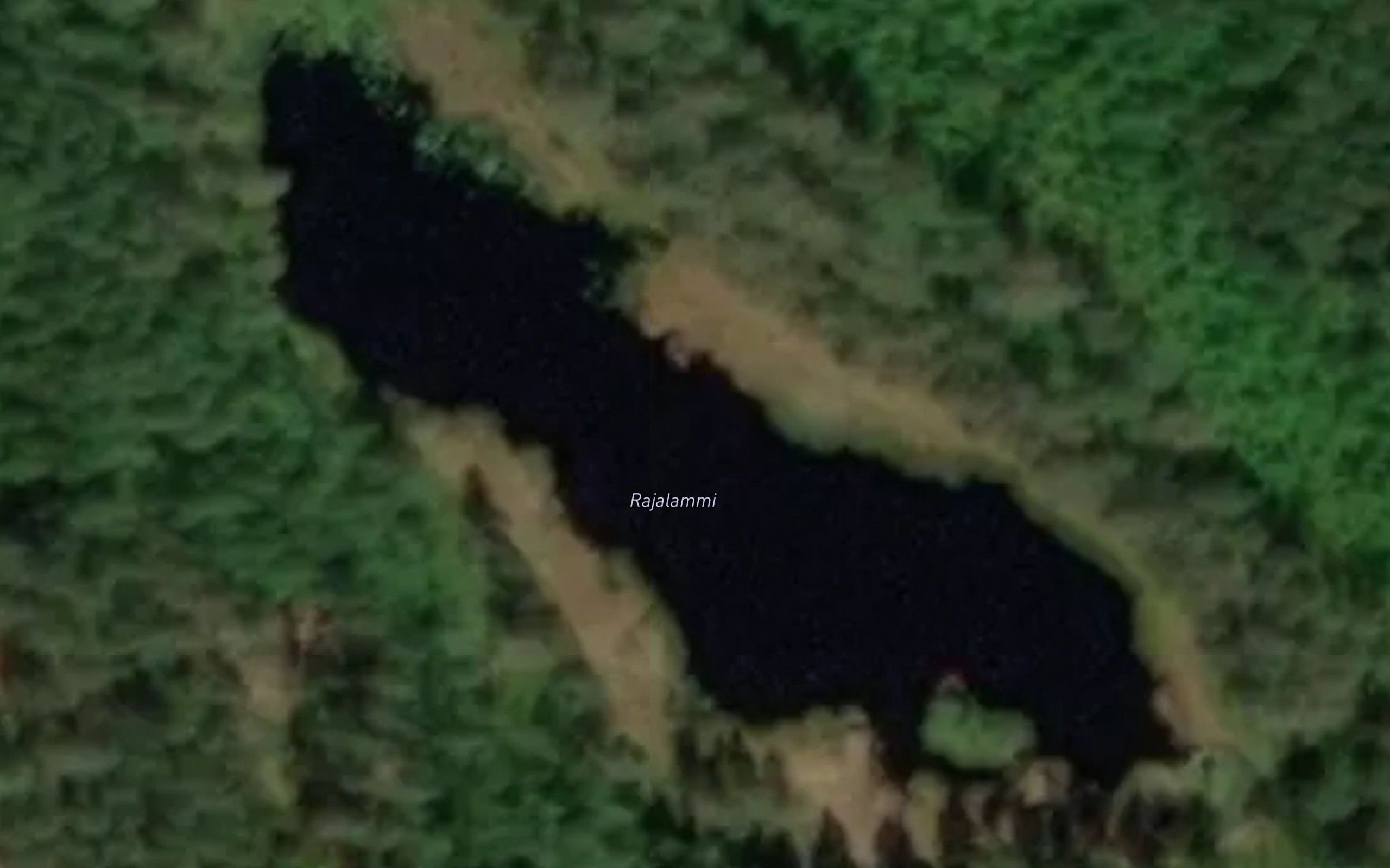 Rajalammi