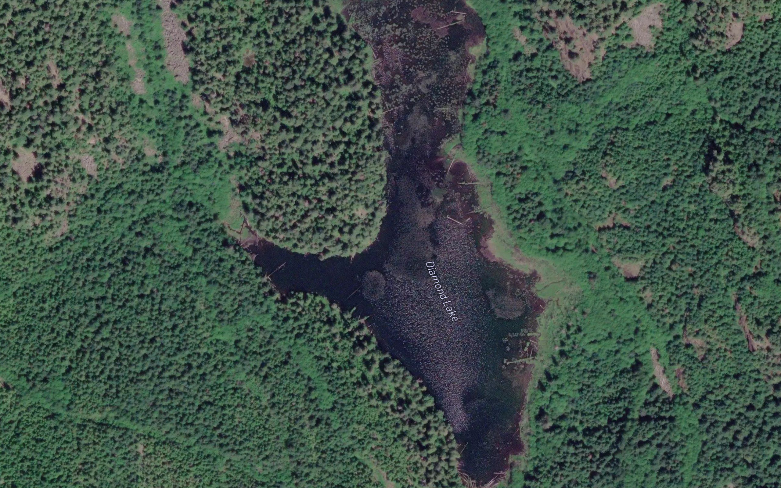Diamond Lake