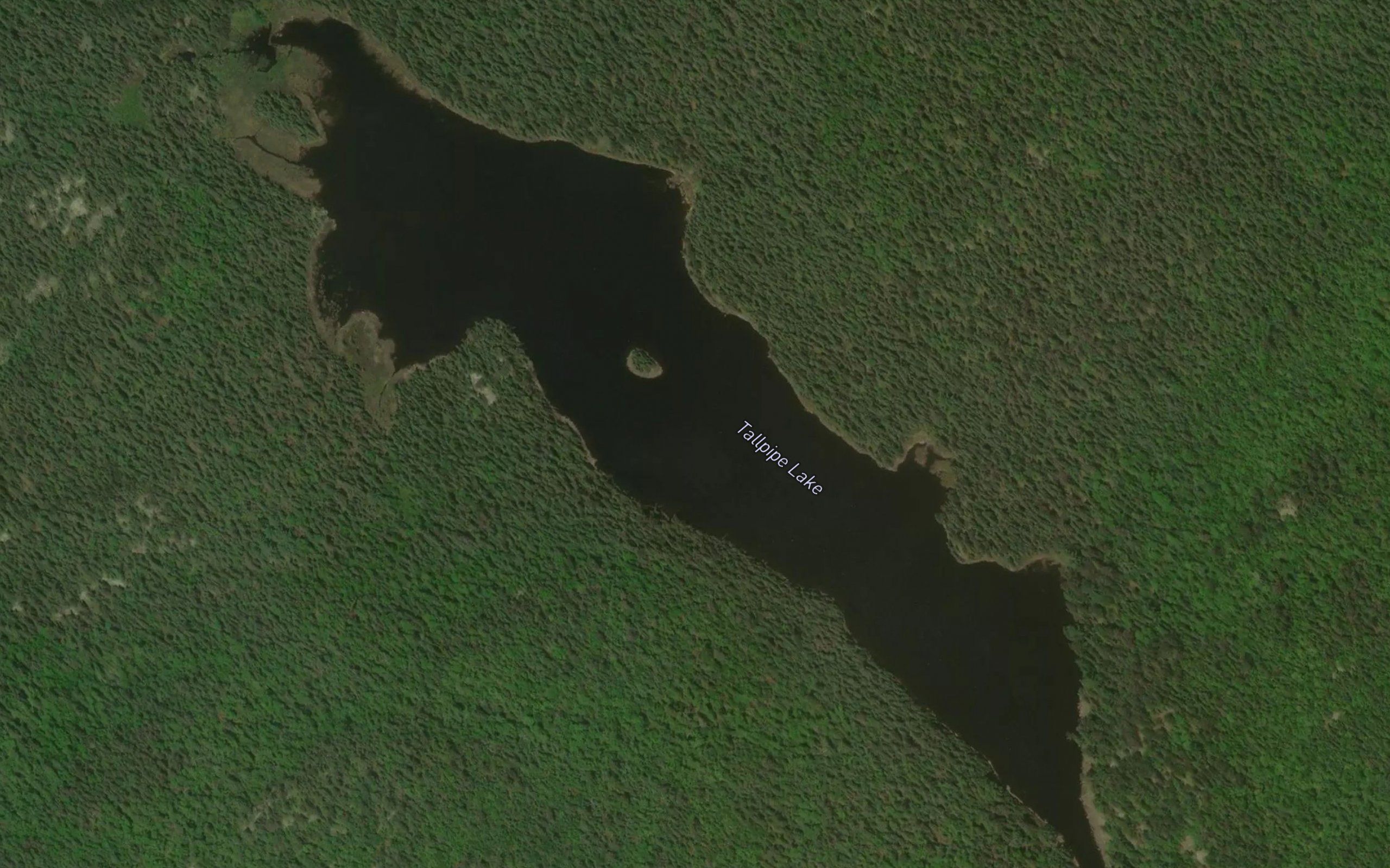 Tallpipe Lake