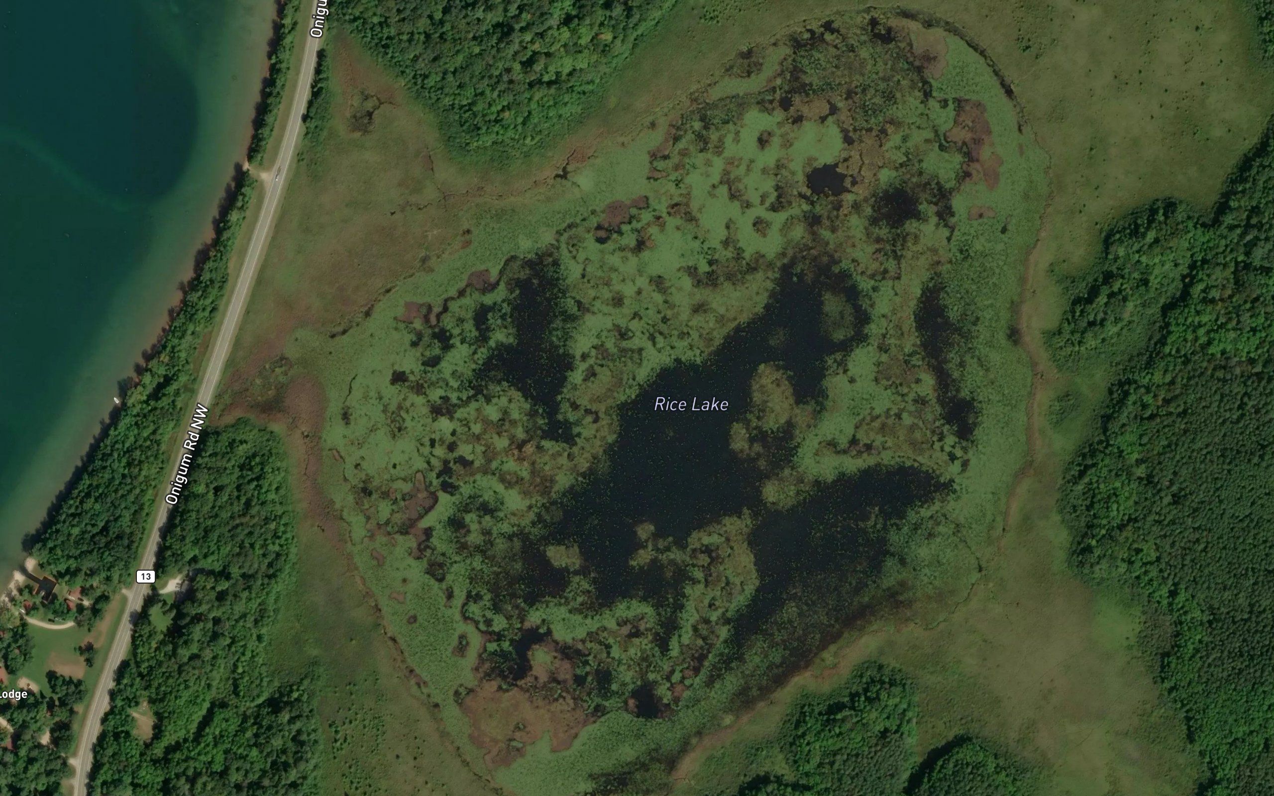 Rice Lake