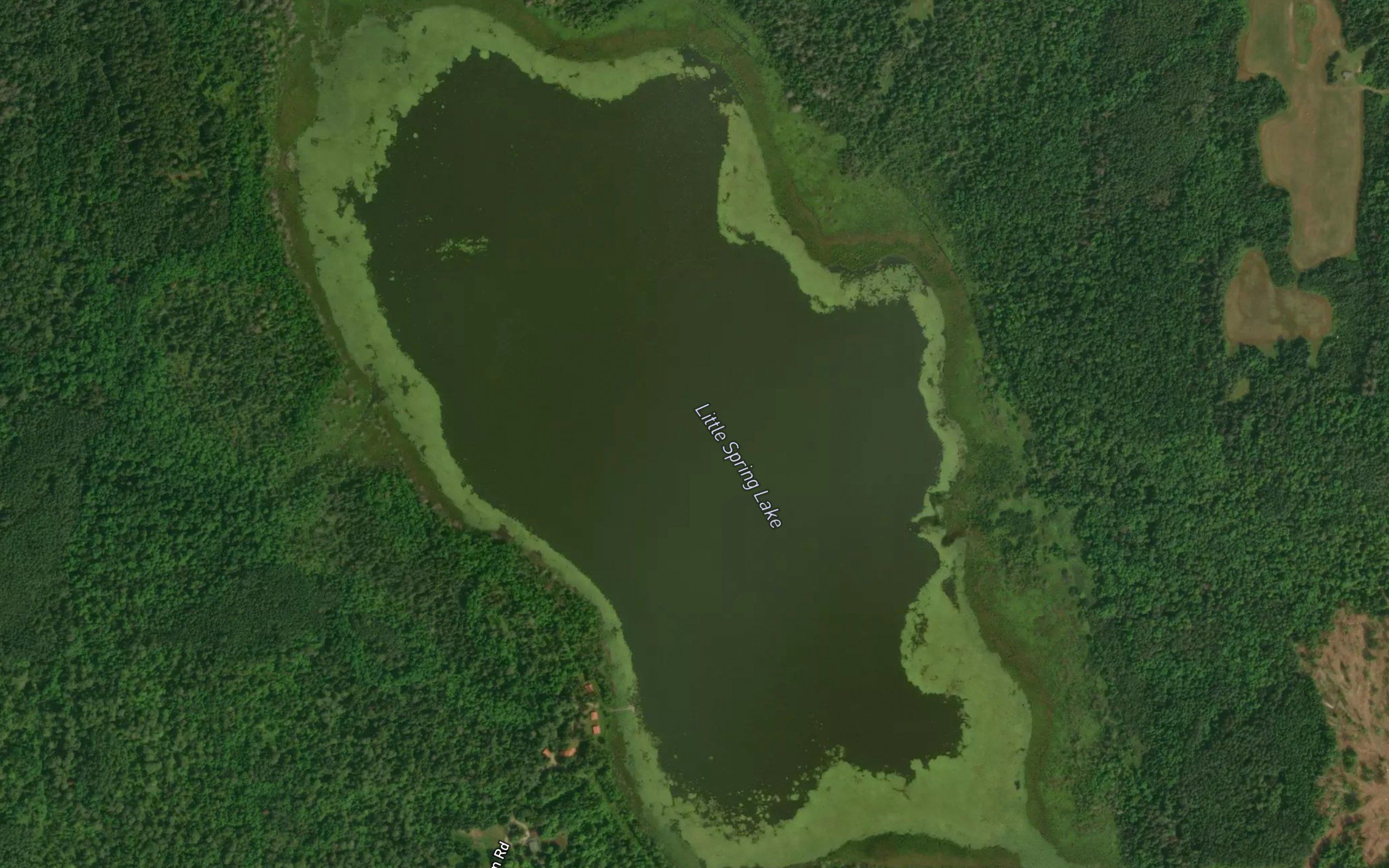 Little Spring Lake