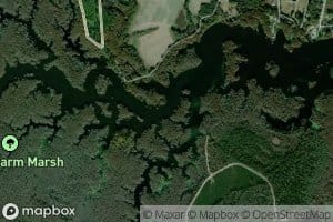 Big Swamp