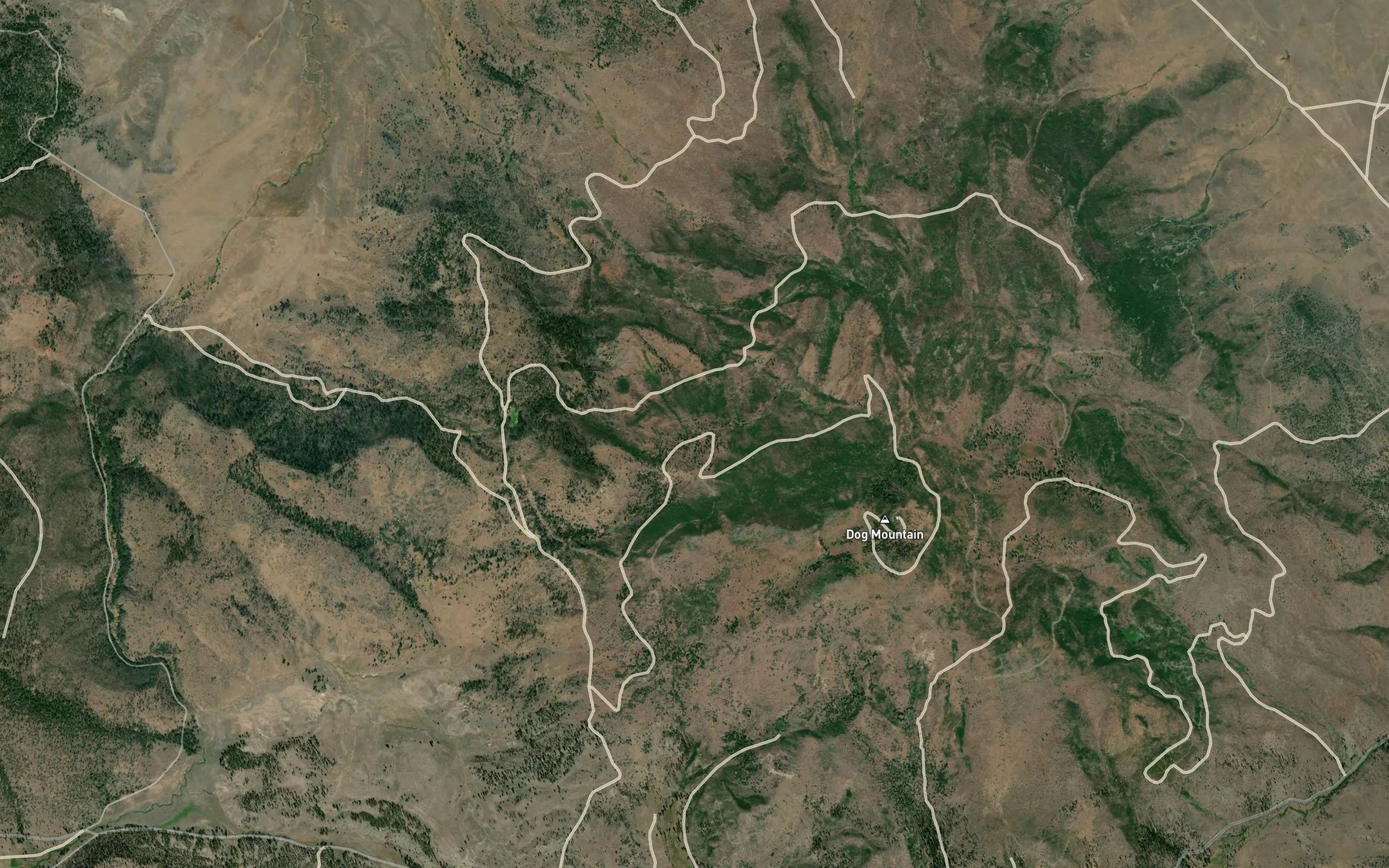 Satellite map of the Big Dog Spring