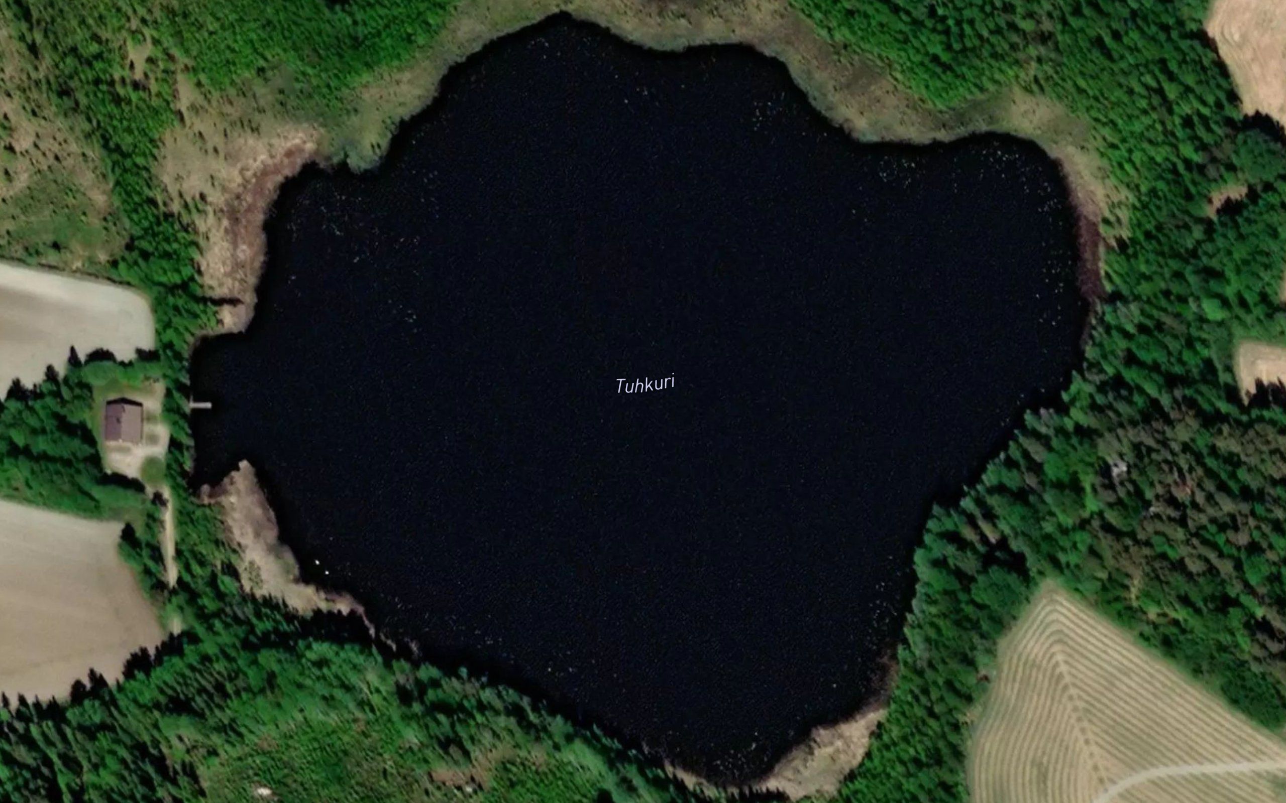 Tuhkuri