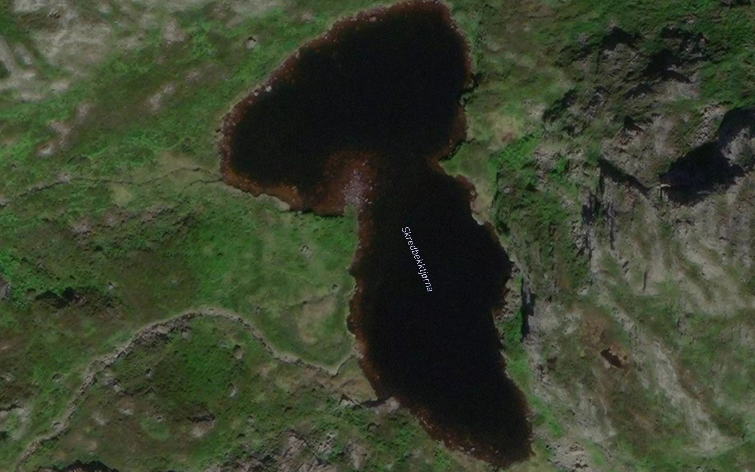 Skrebekktjorna