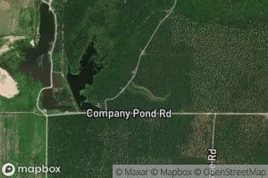 Company Pond