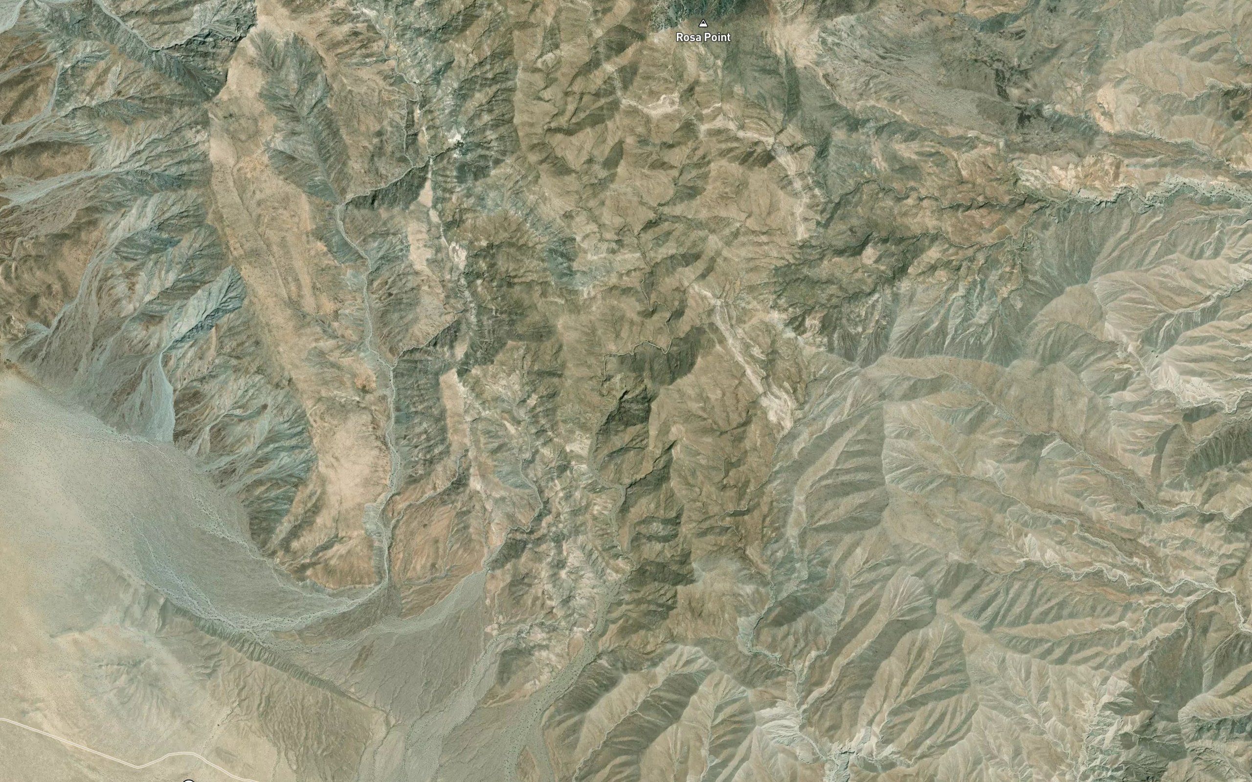 Palo Verde Spring