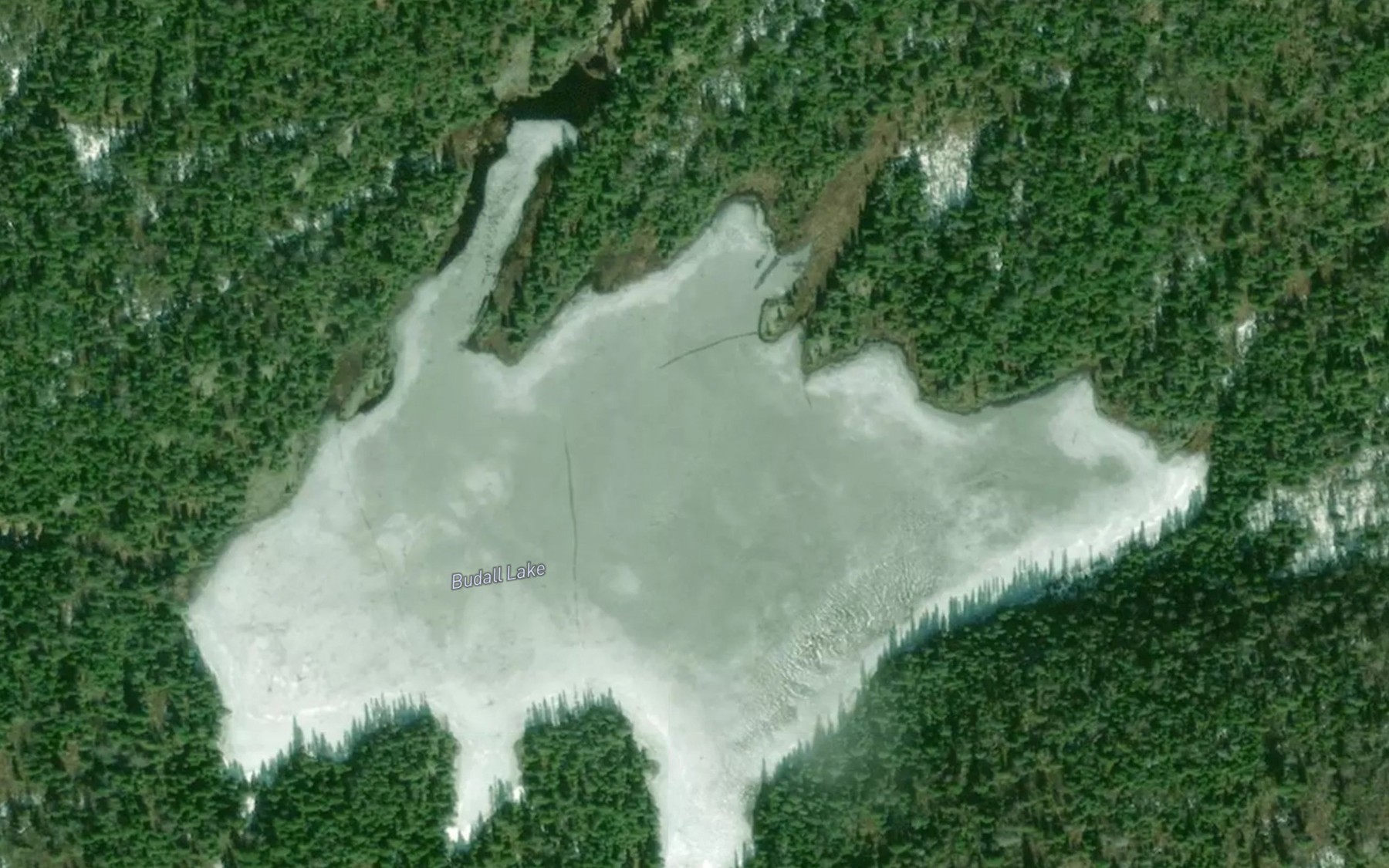 Satellite map of the Budall Lake