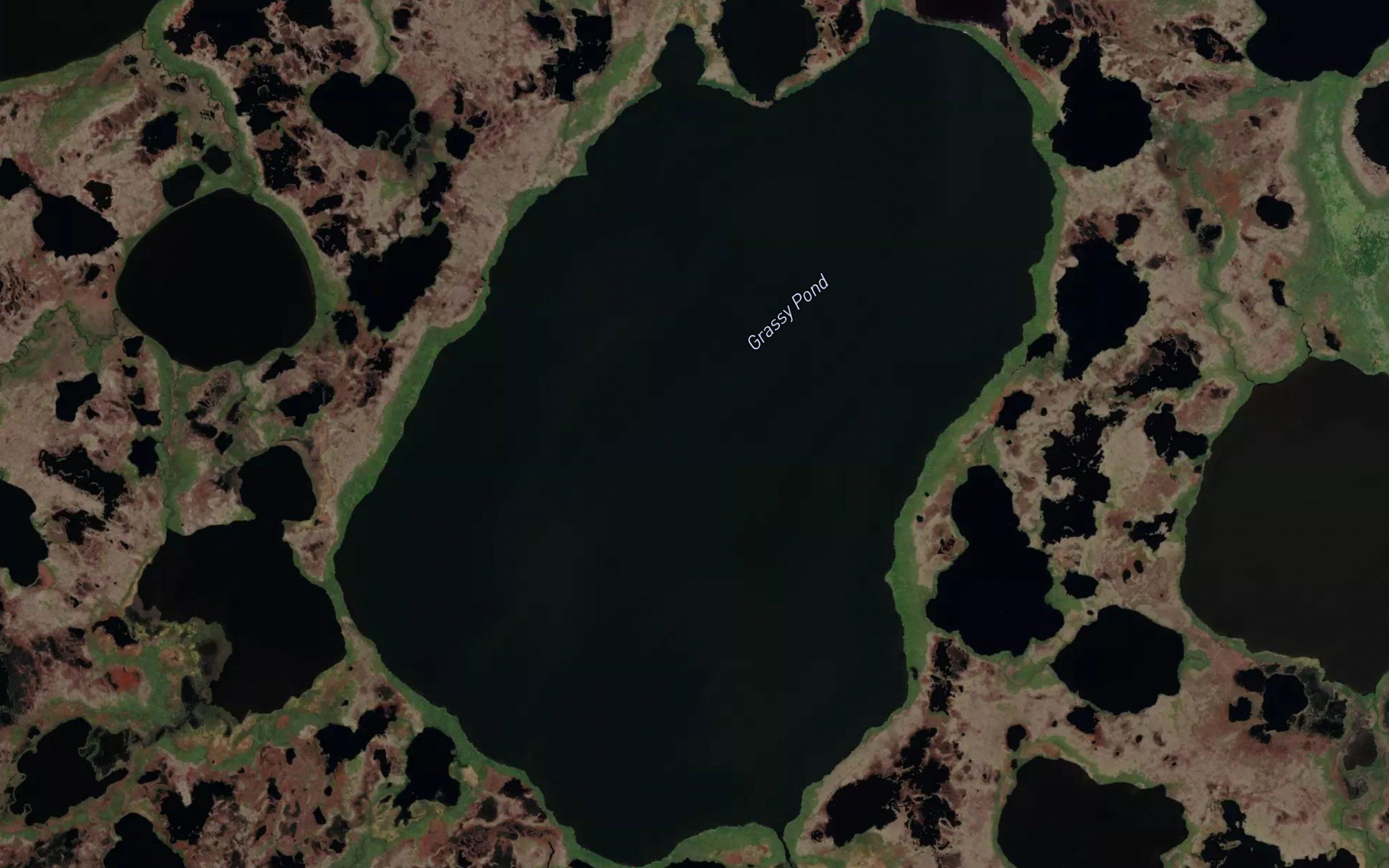 Grassy Pond