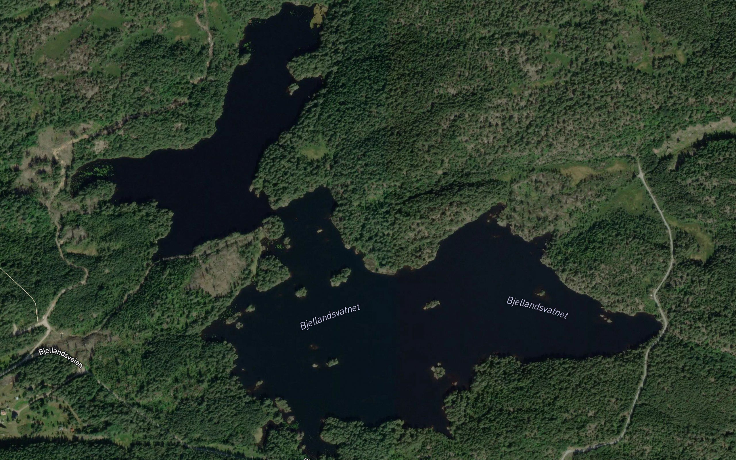 Bjellandsvann