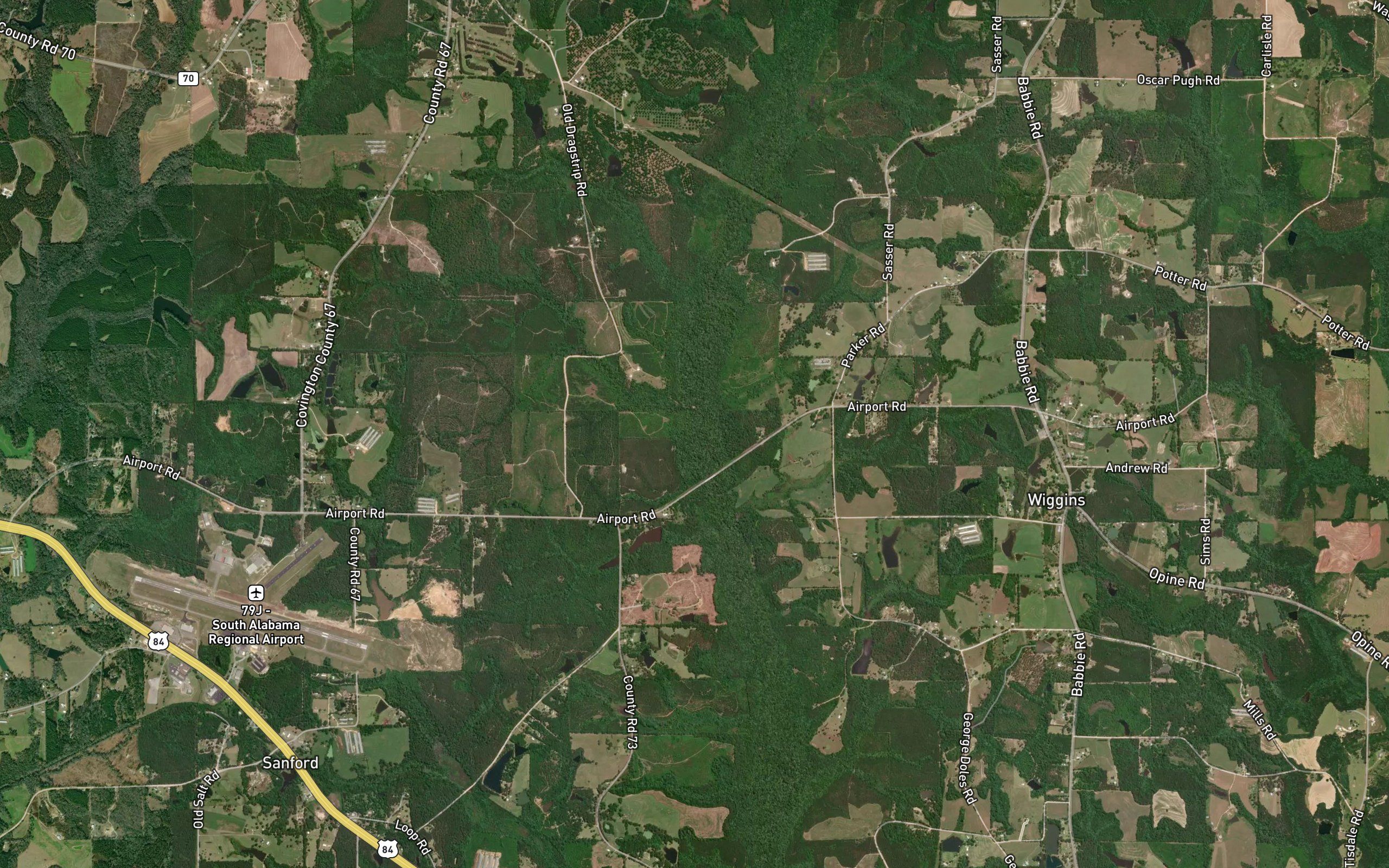 Sasser Branch