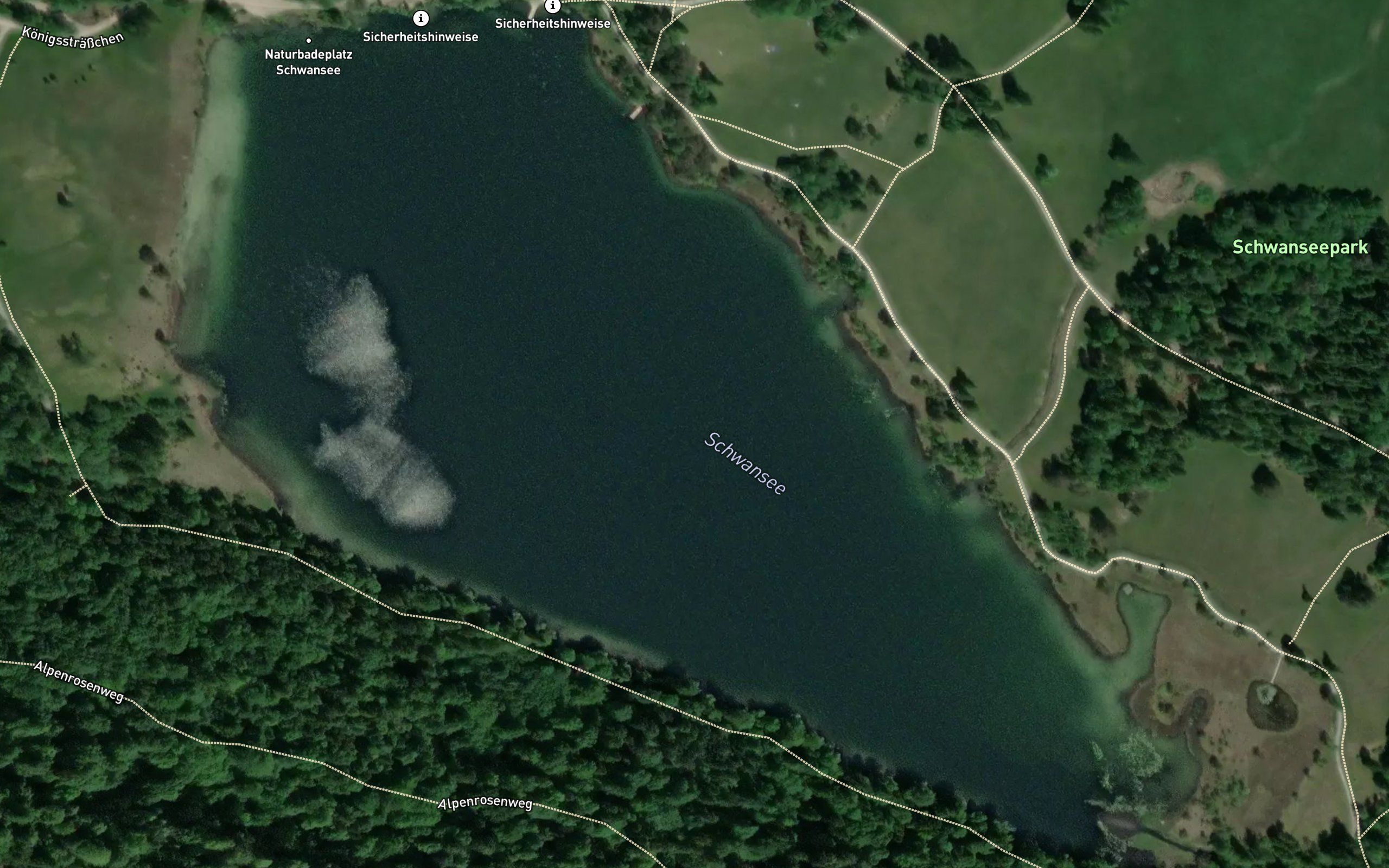 Schwan See