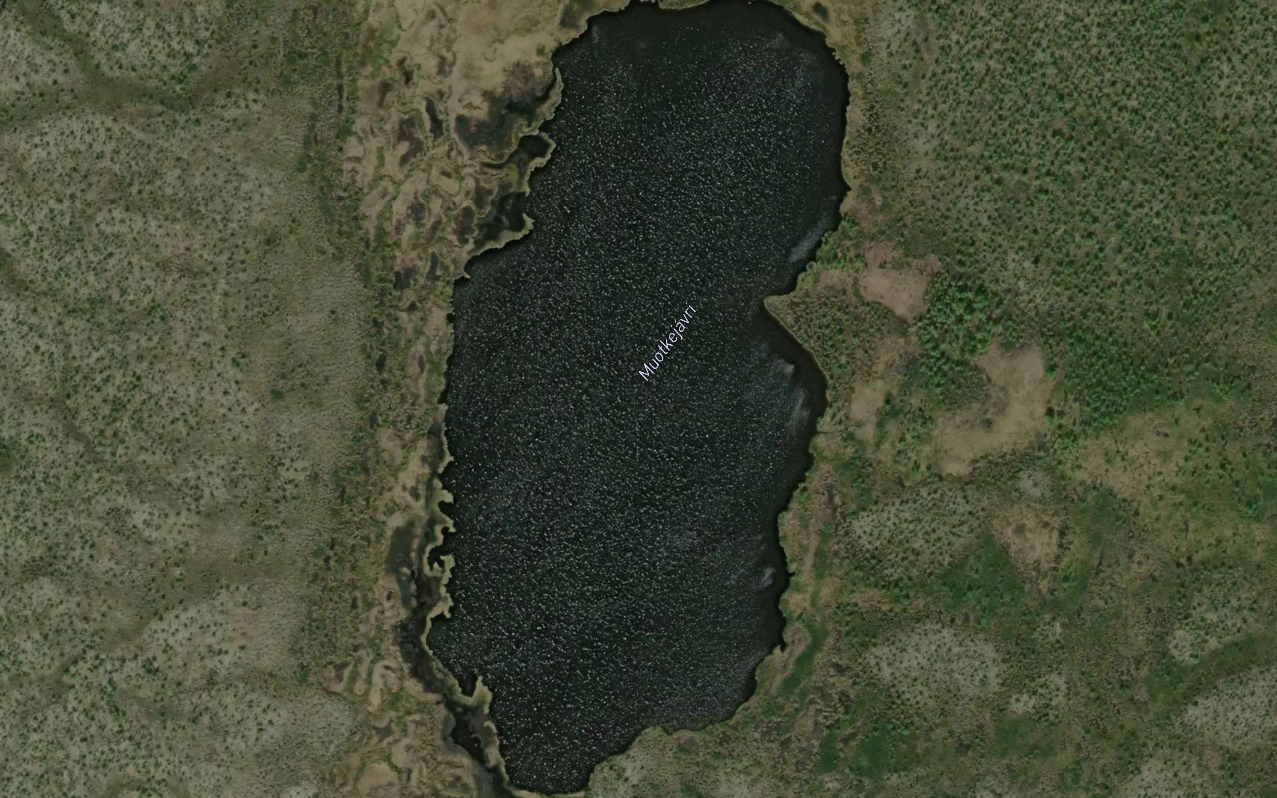 Muotkejavri