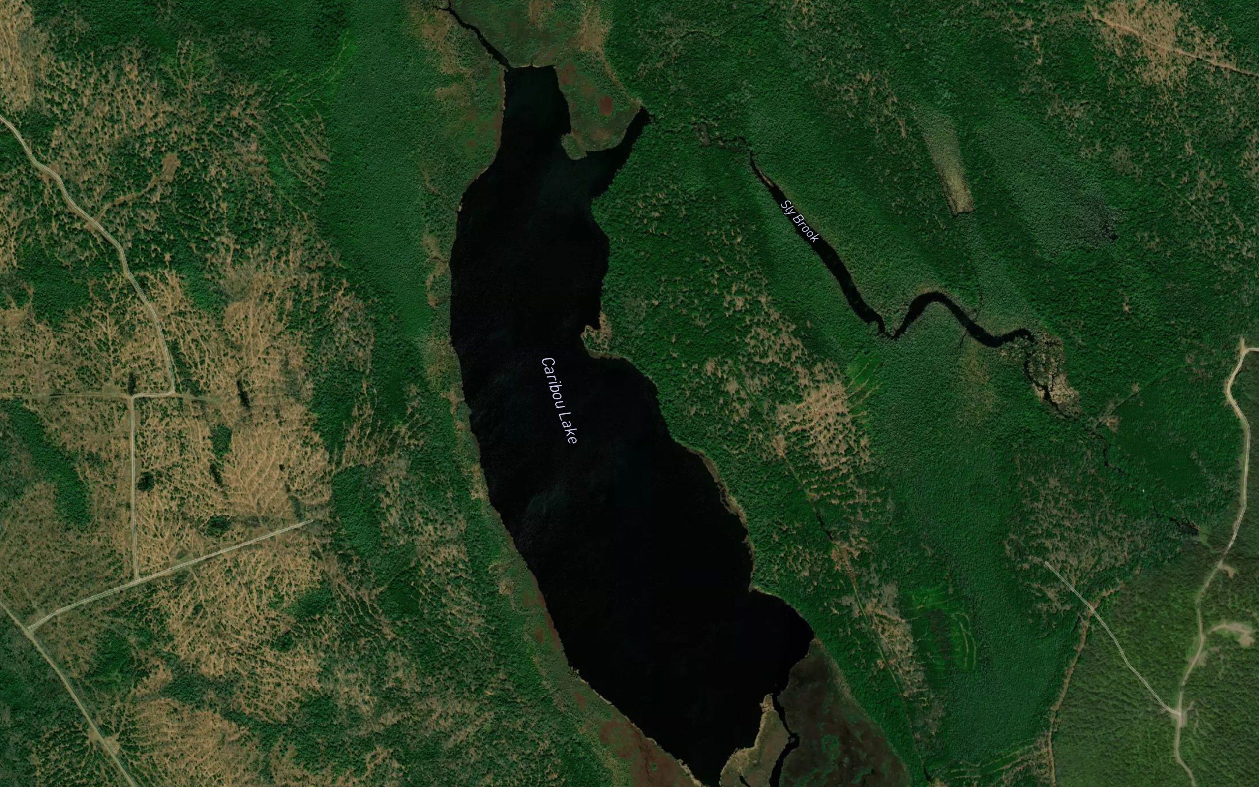 Caribou Lake
