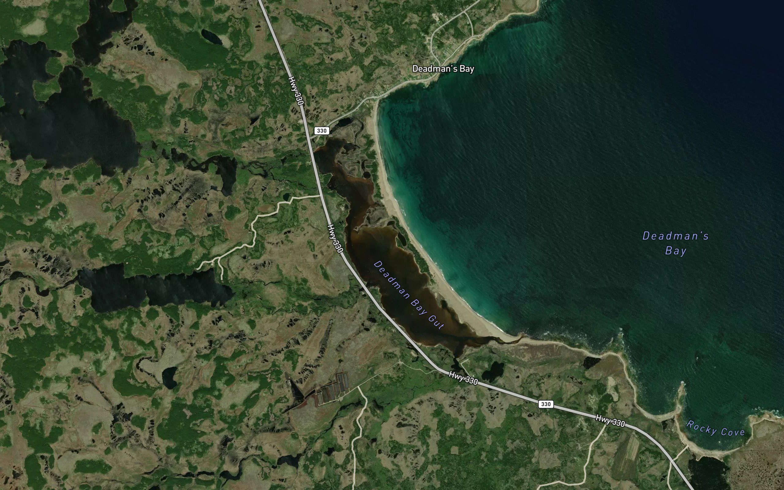 Deadman Bay Gut
