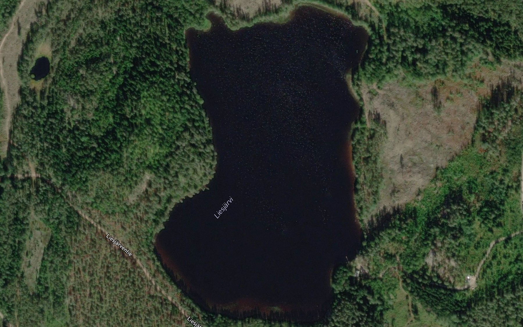Satellite map of the Liesjarvi