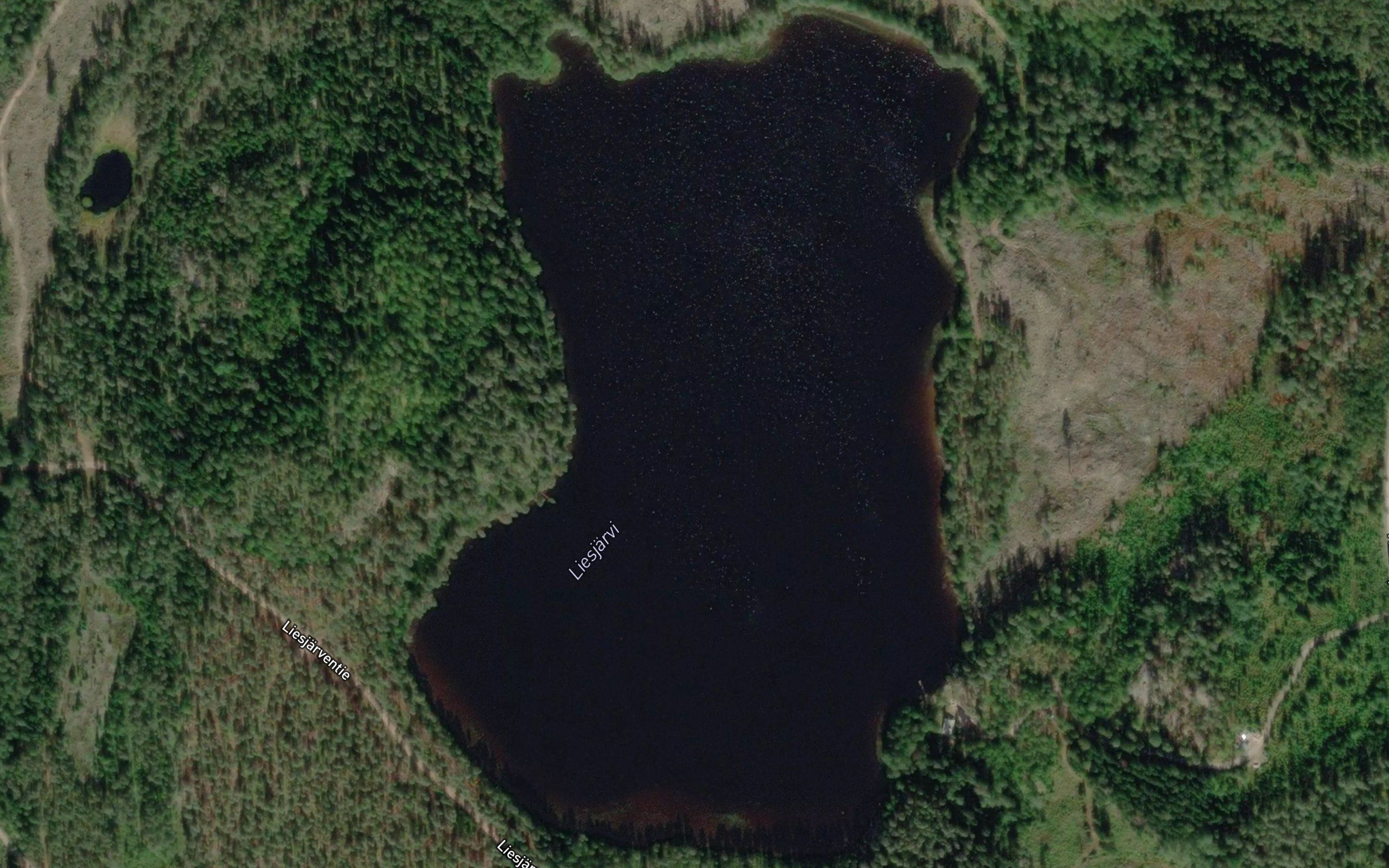 Liesjarvi