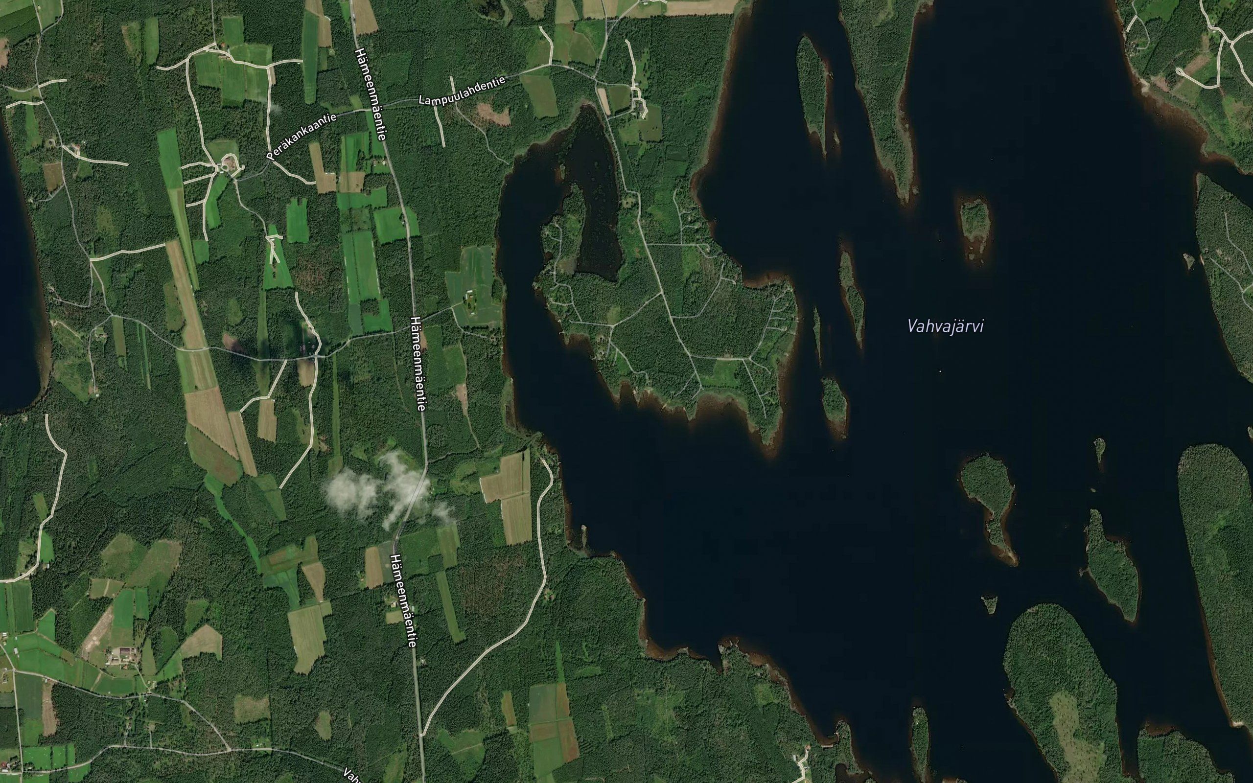 Kapealahti