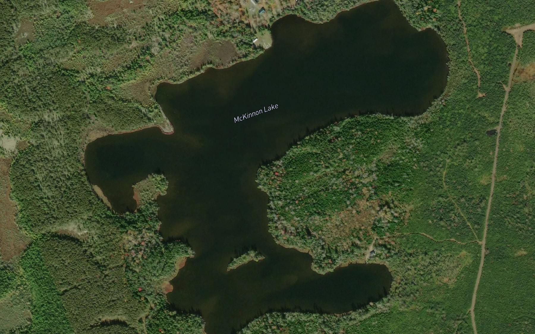Satellite map of the McKinnon Lake