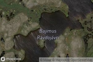 bajimus Ravdujavri