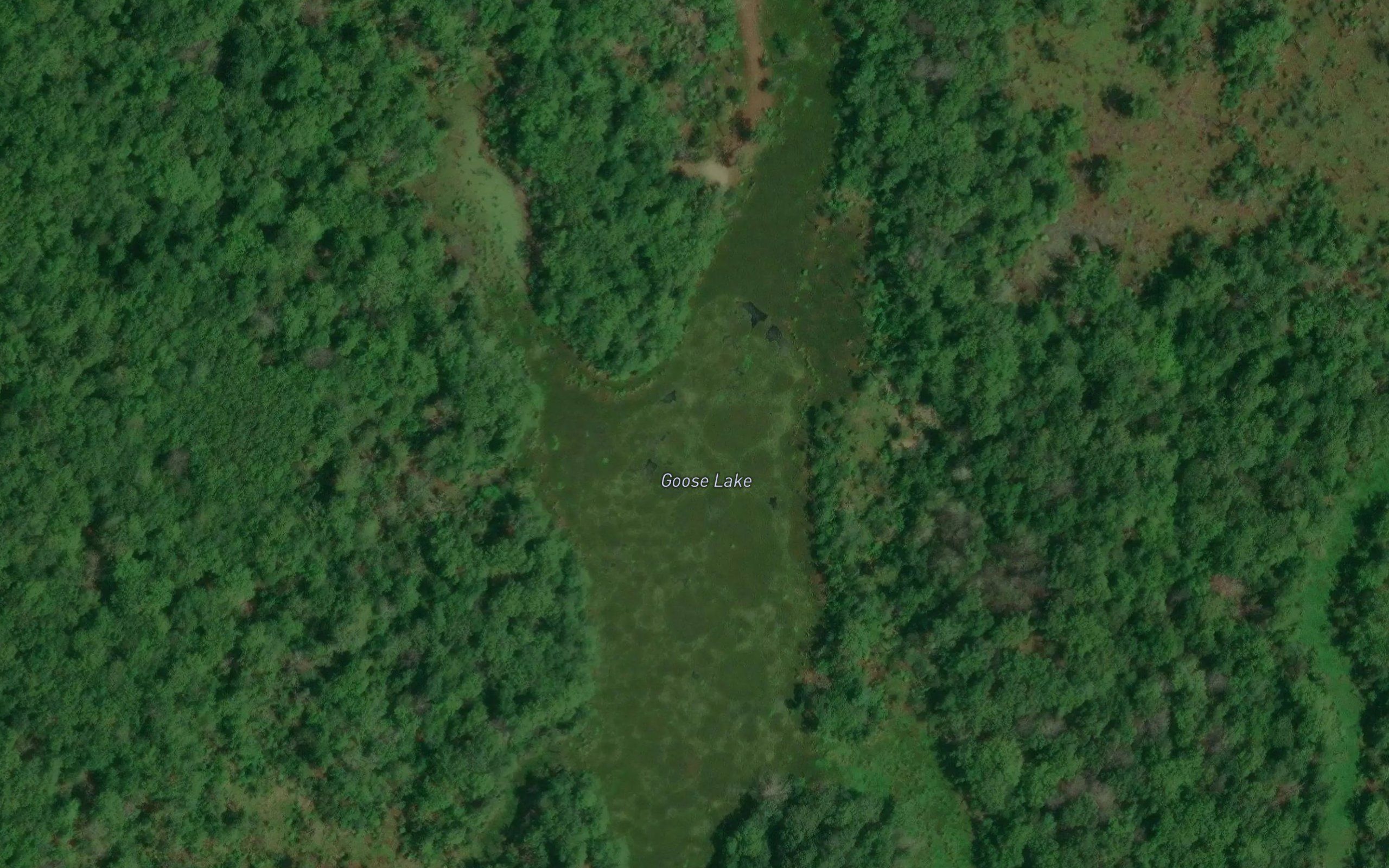 Goose Lake