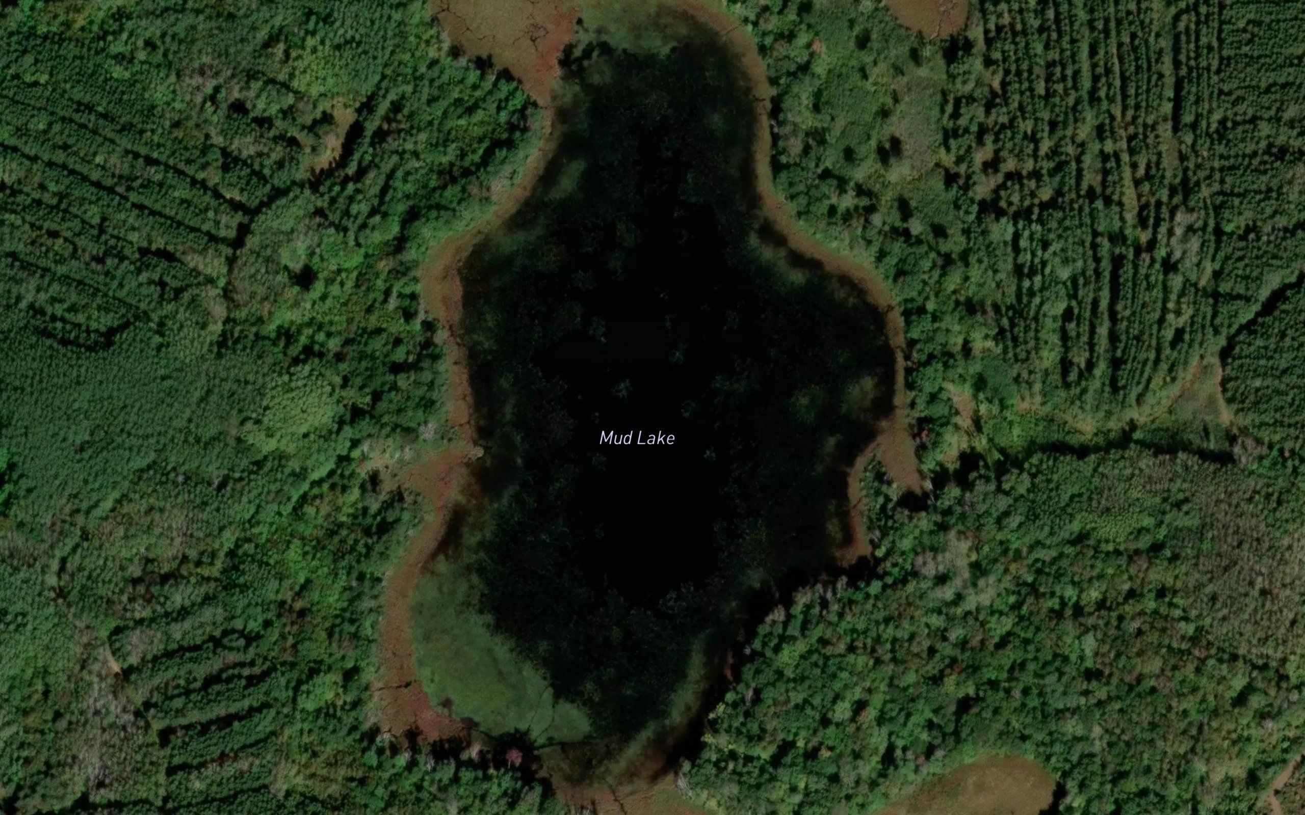 Mud Lake